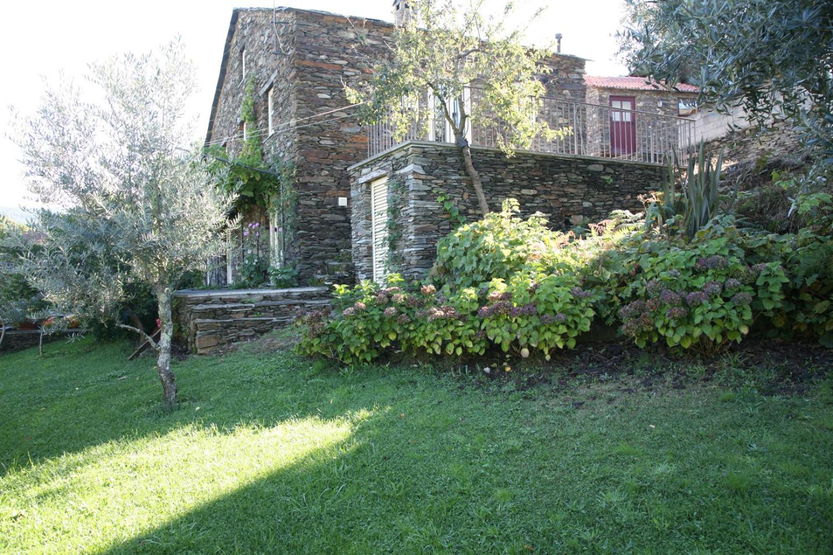 Photo 38