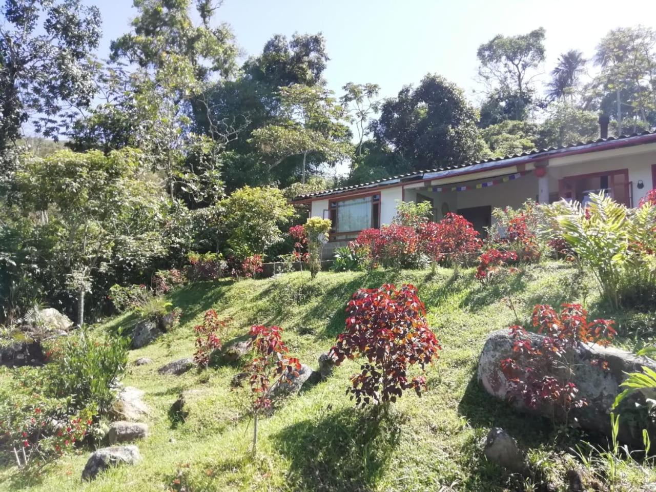 Finca Campestre Ecolodges El Ocelote