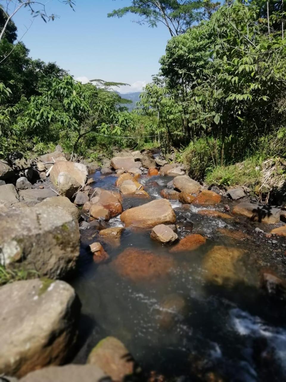 Finca Campestre Ecolodges El Ocelote