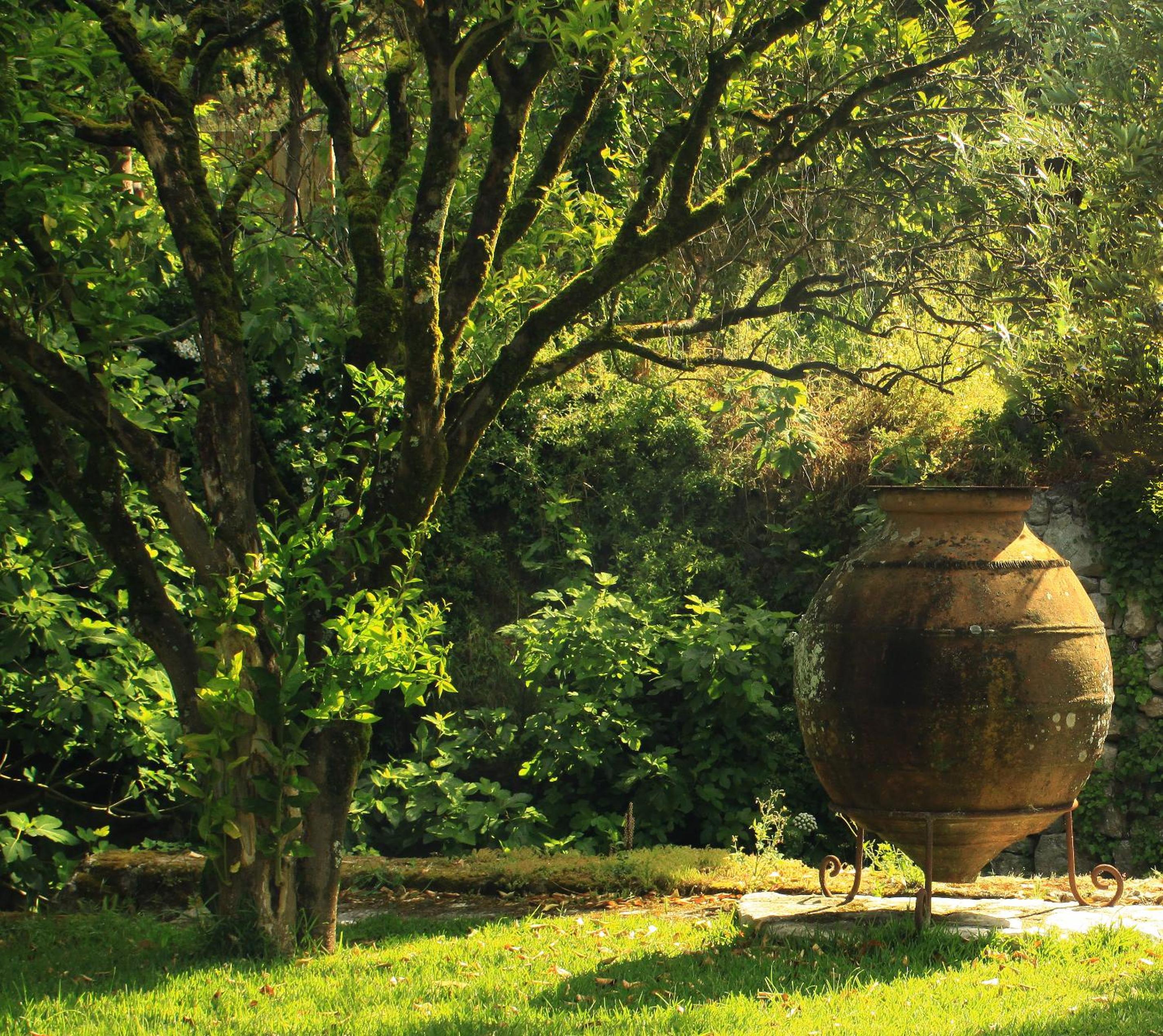 Quinta de Rio Alcaide