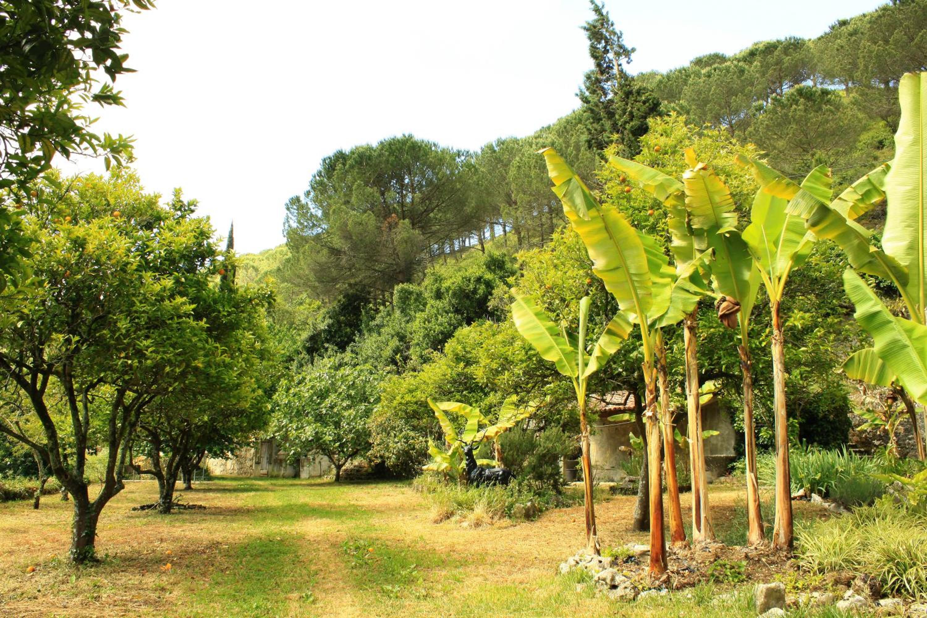 Quinta de Rio Alcaide