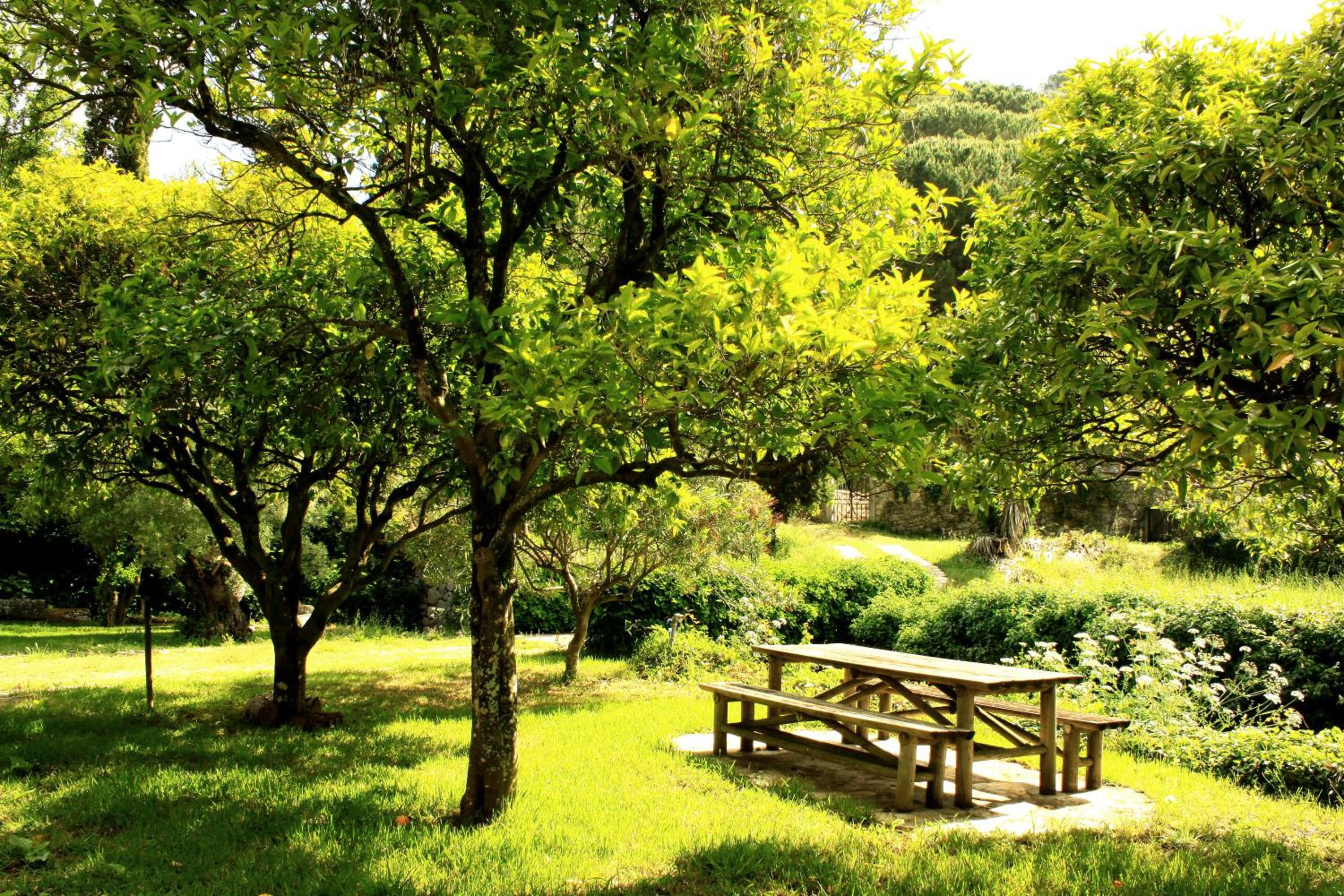 Quinta de Rio Alcaide