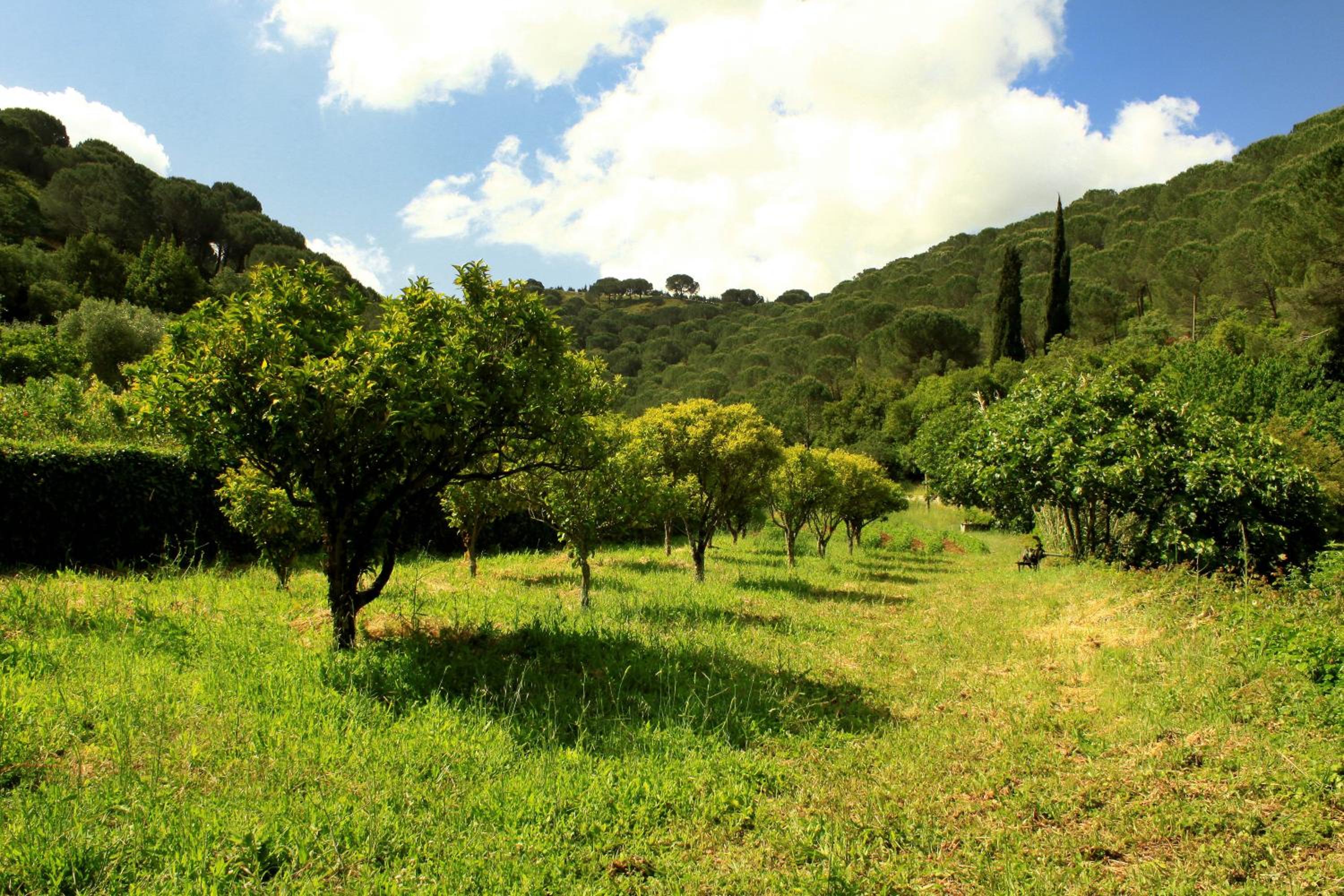 Quinta de Rio Alcaide