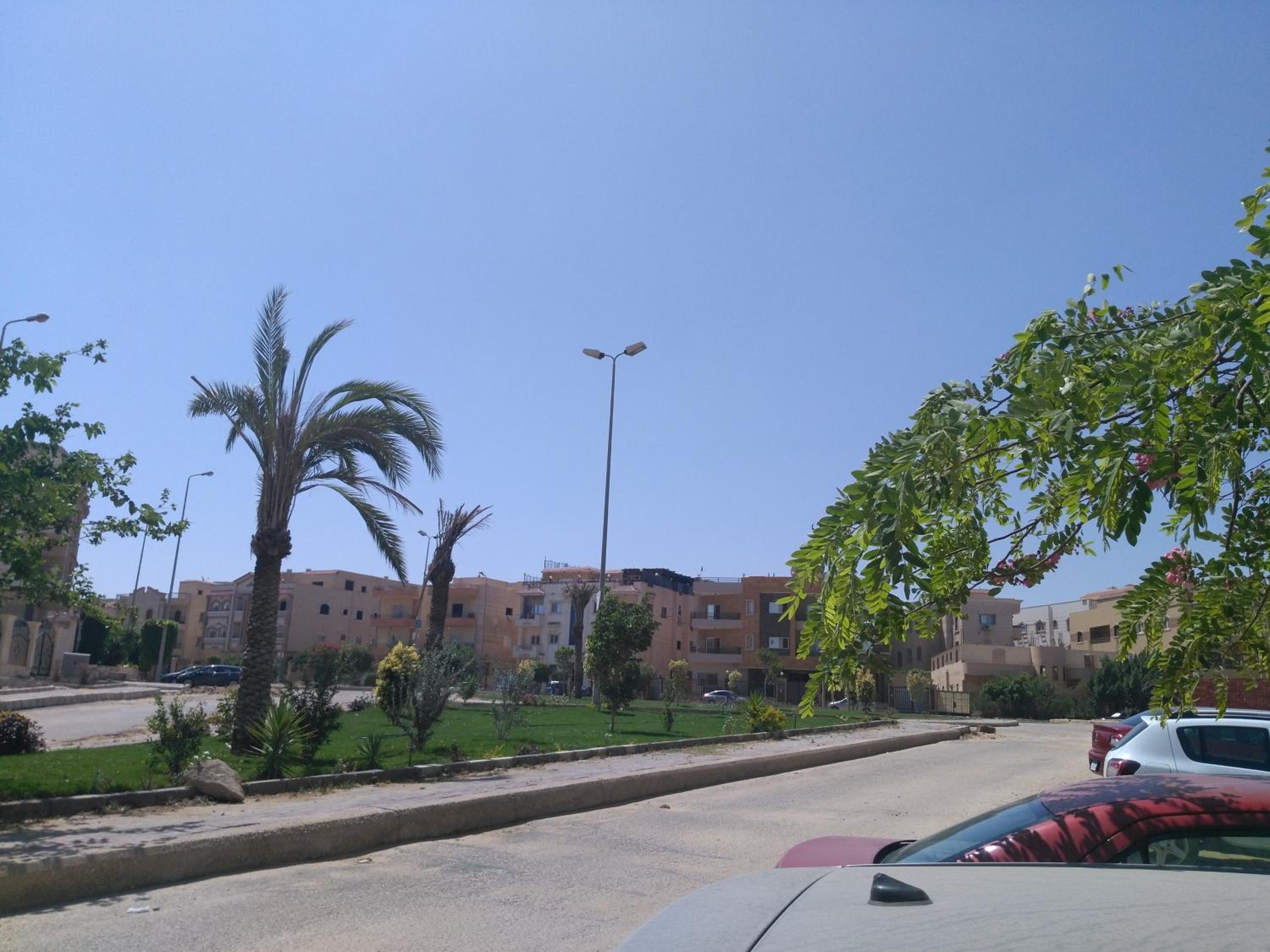 New Cairo Zoé
