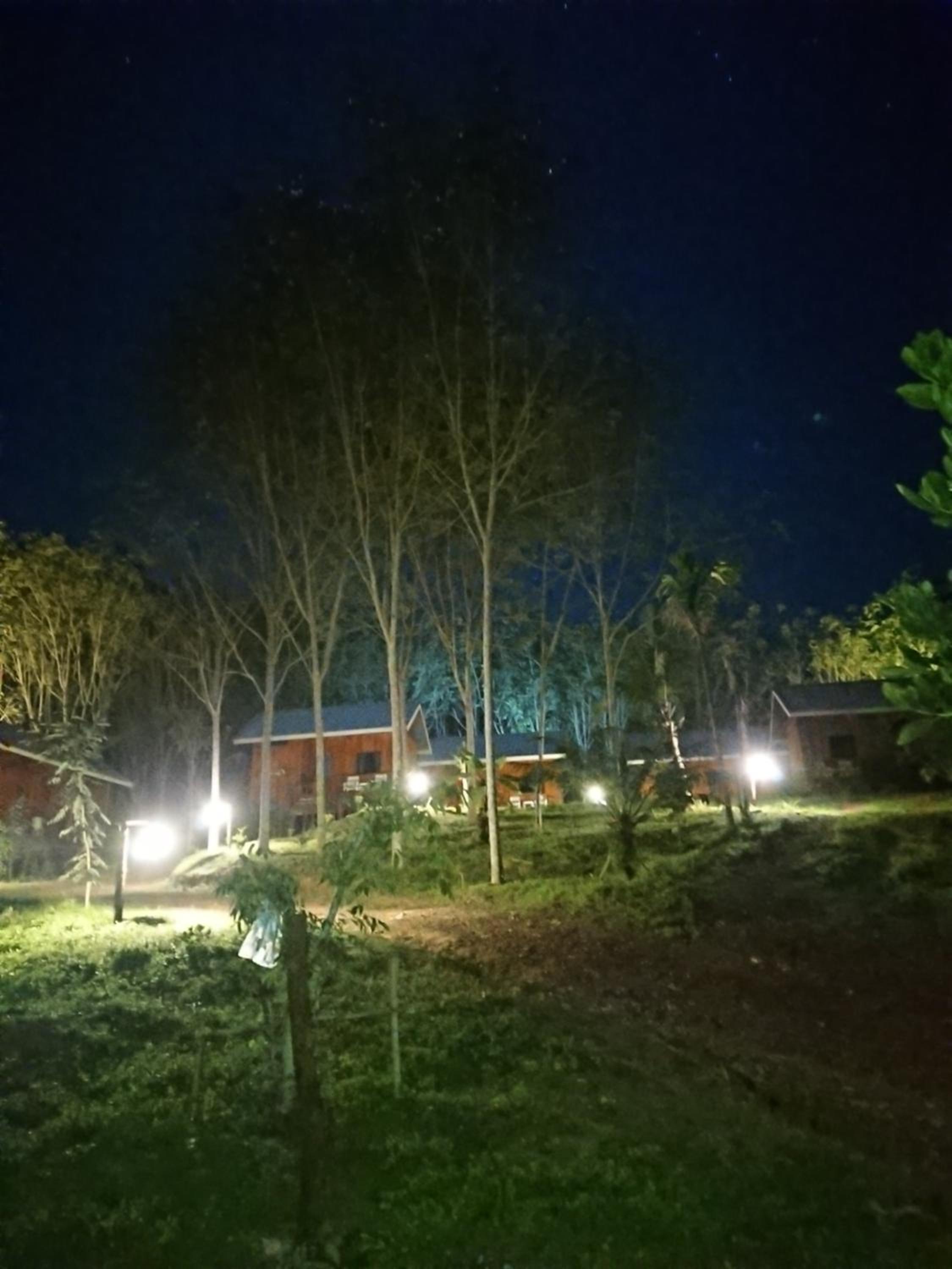 Lanta pour cabane — photo 2