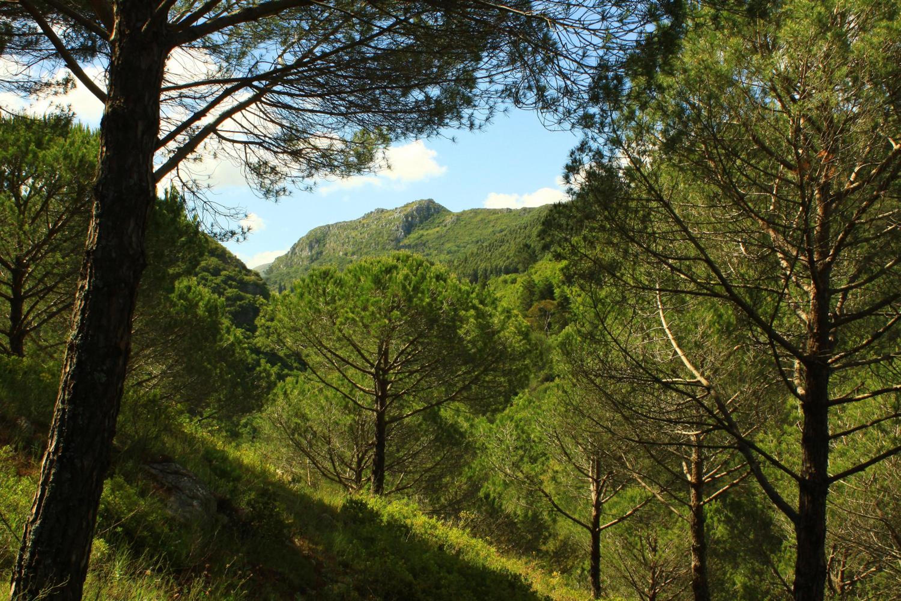 Quinta de Rio Alcaide
