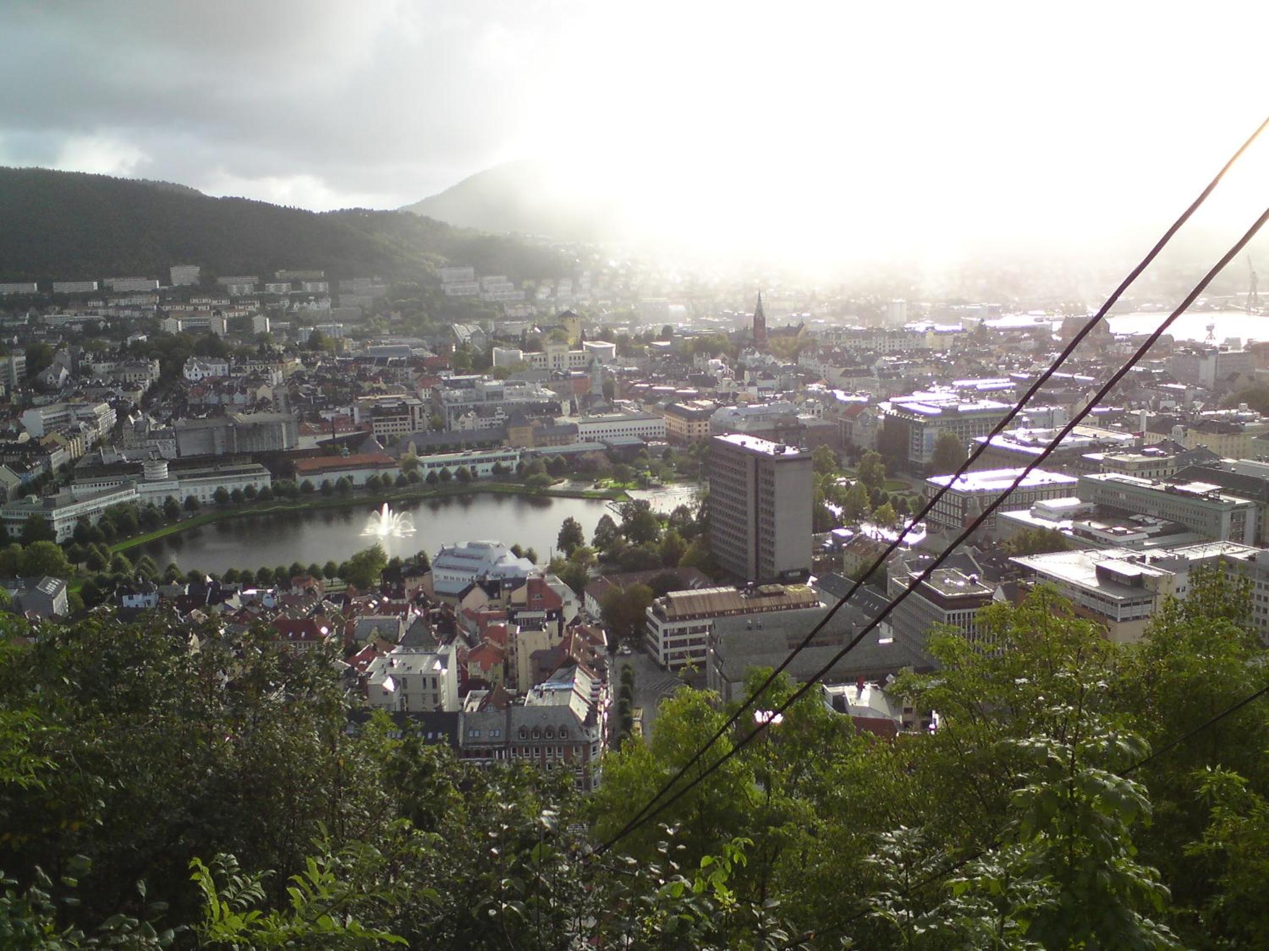 Photo 44