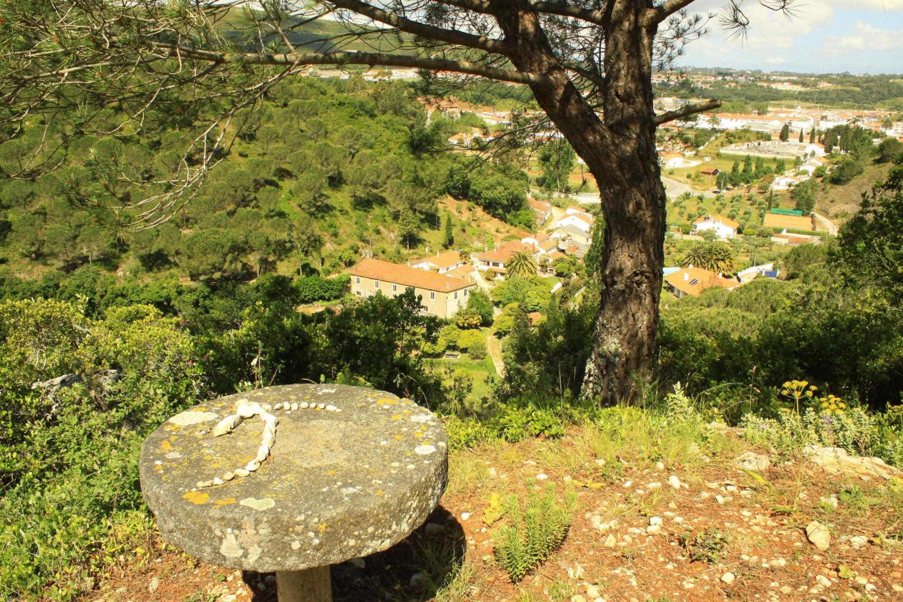 Quinta de Rio Alcaide
