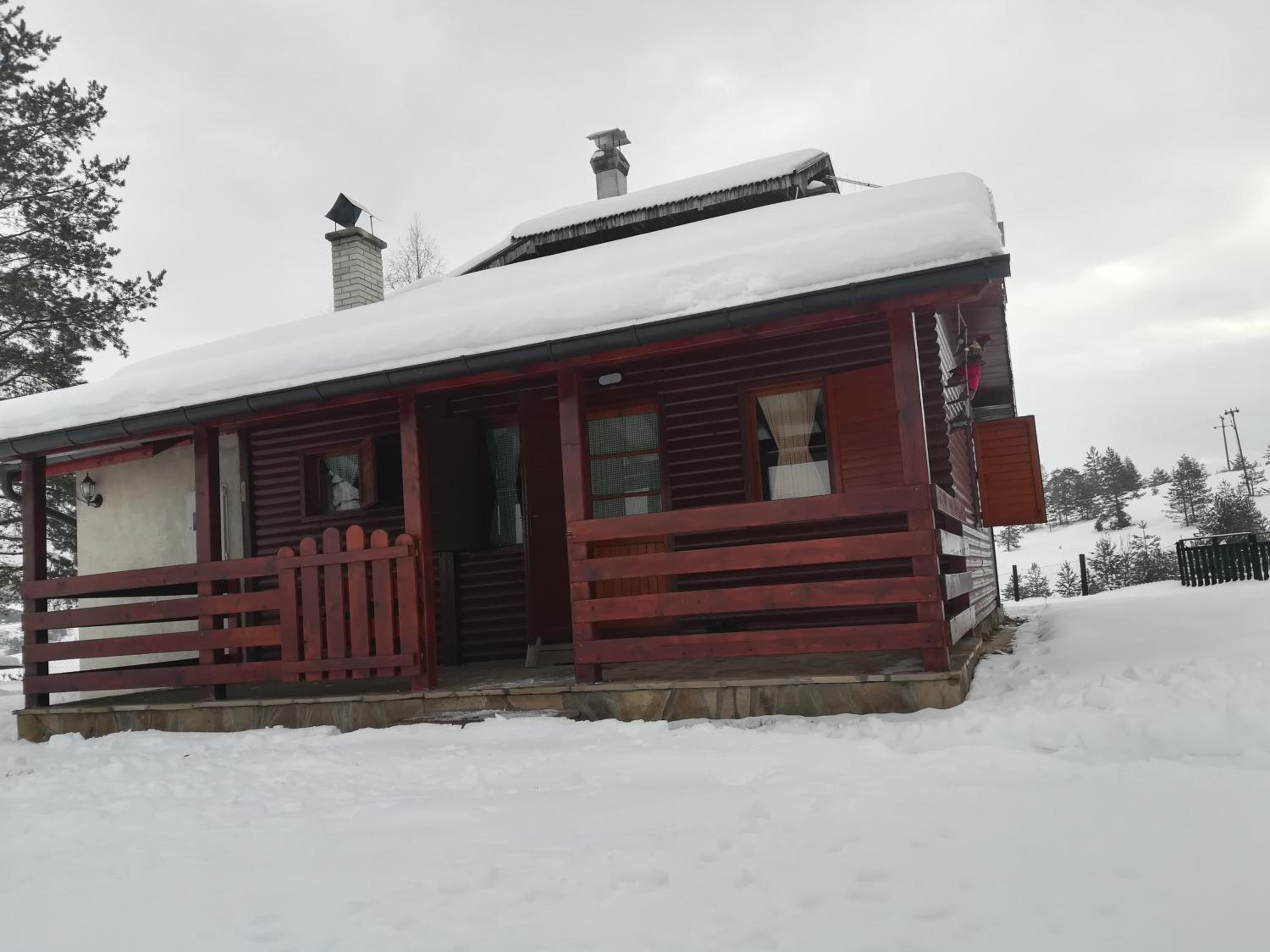 Woodpeckers house