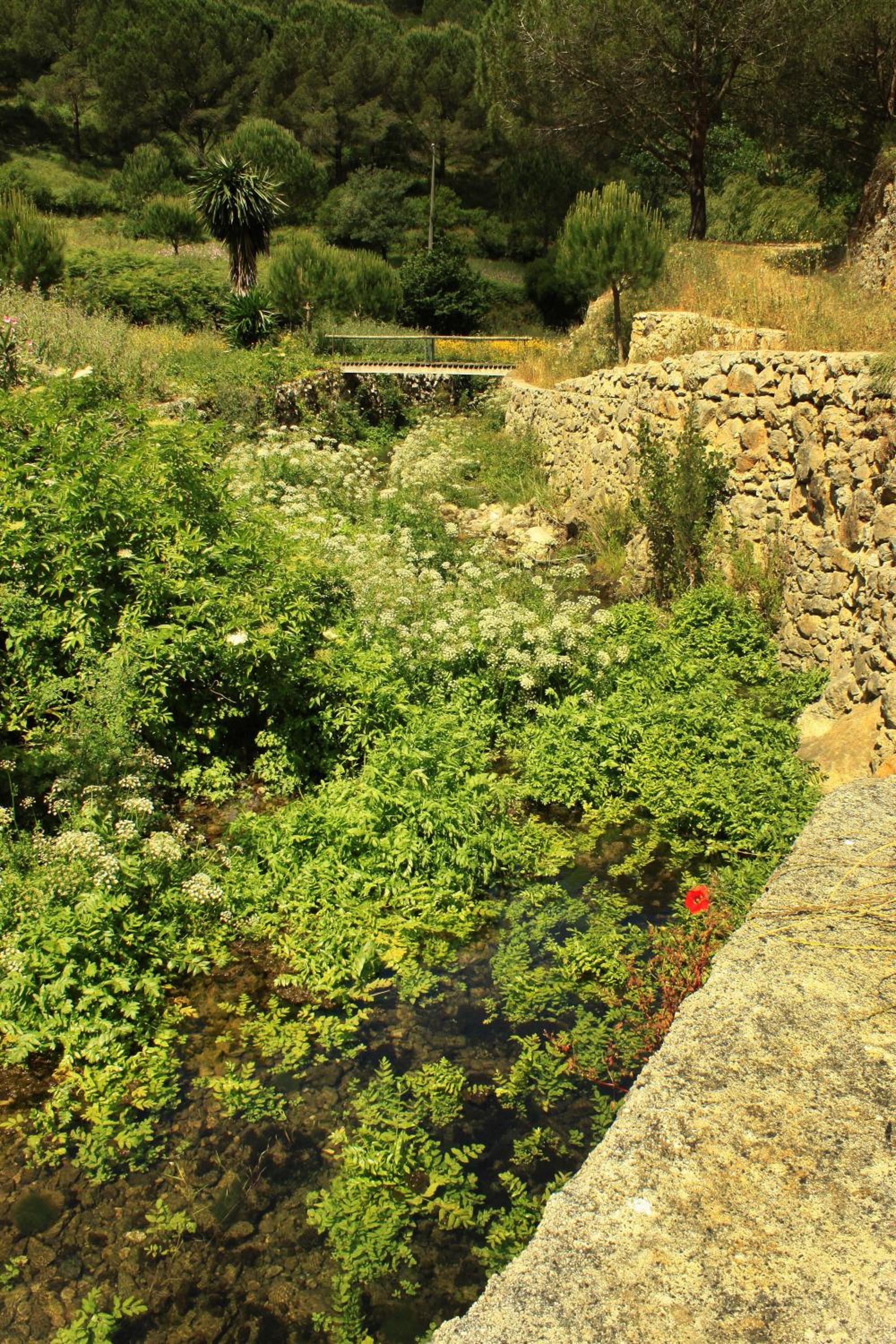 Quinta de Rio Alcaide