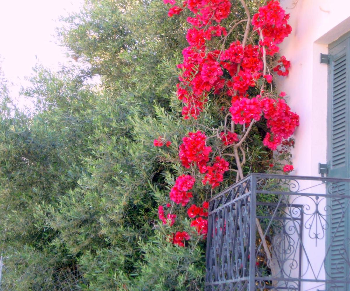 Photo 26