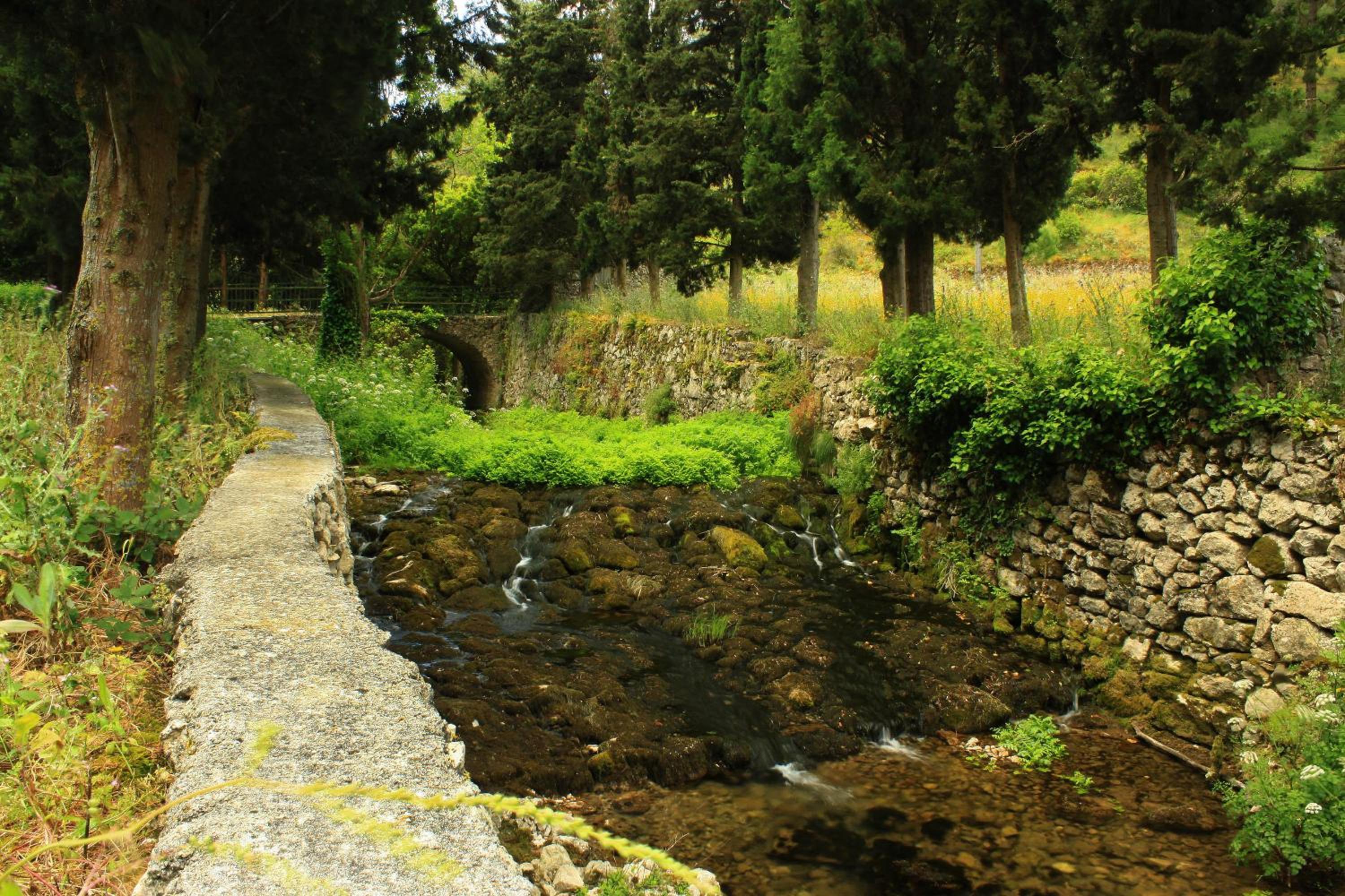 Quinta de Rio Alcaide