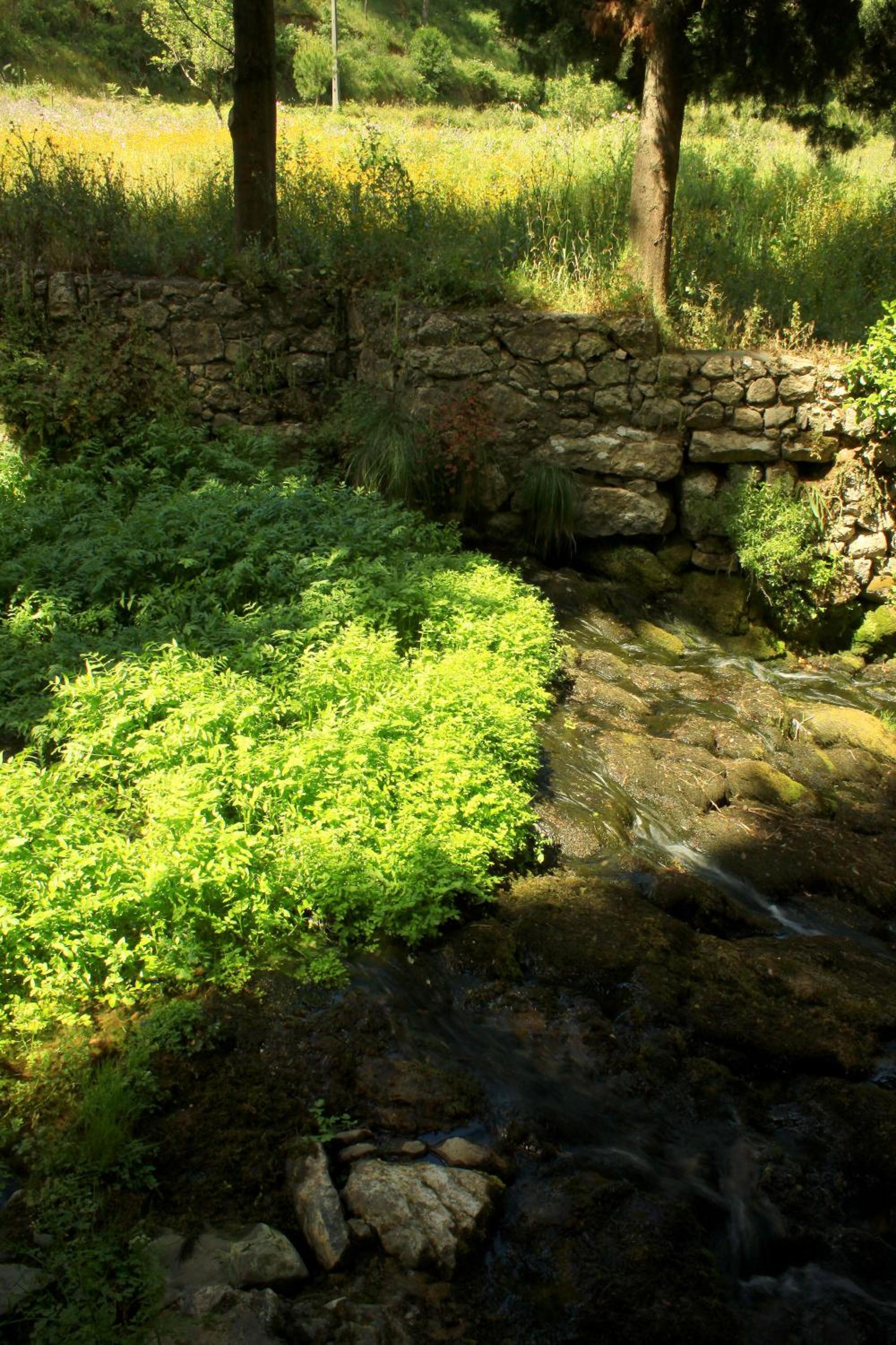 Quinta de Rio Alcaide