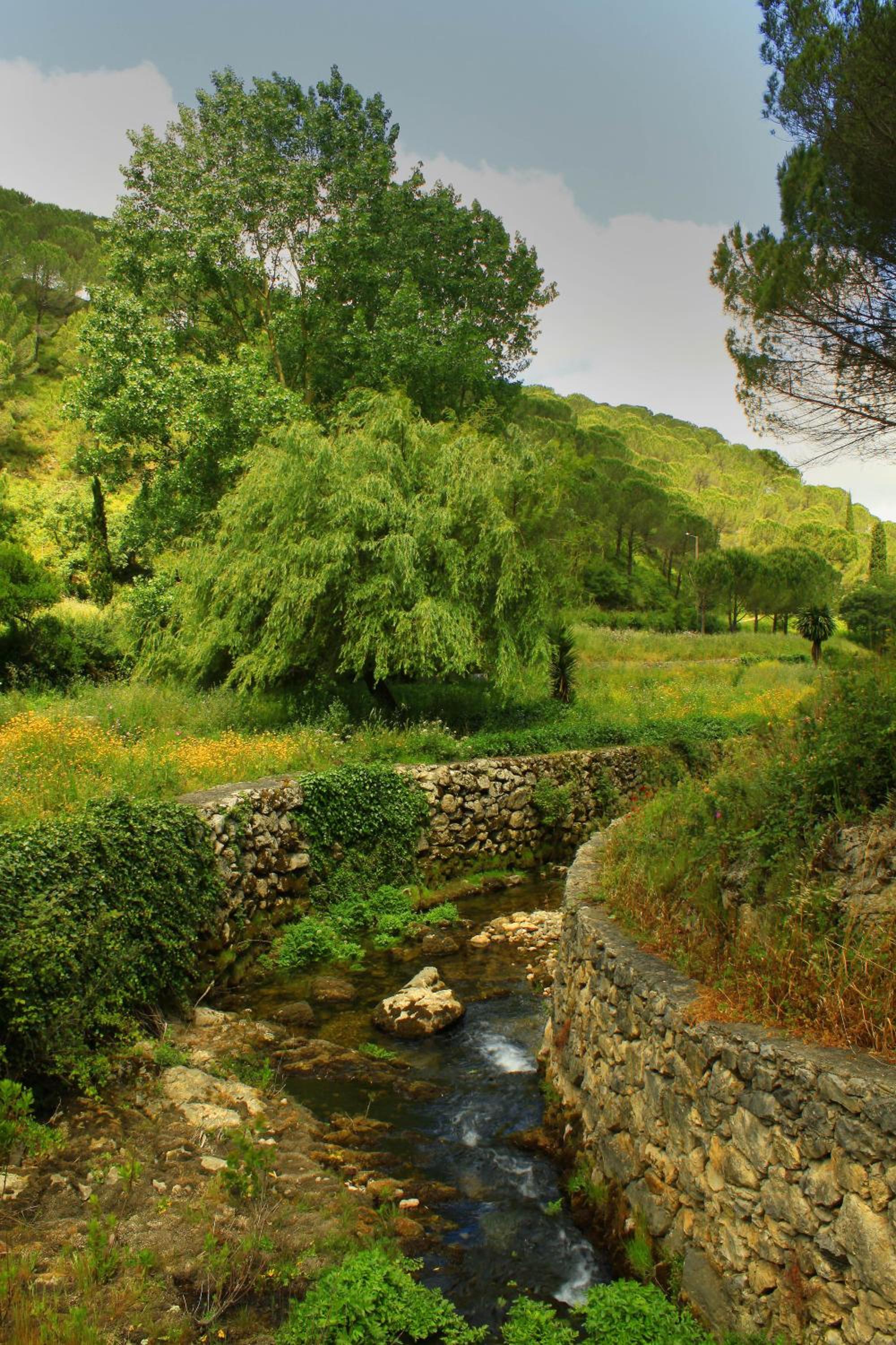 Quinta de Rio Alcaide