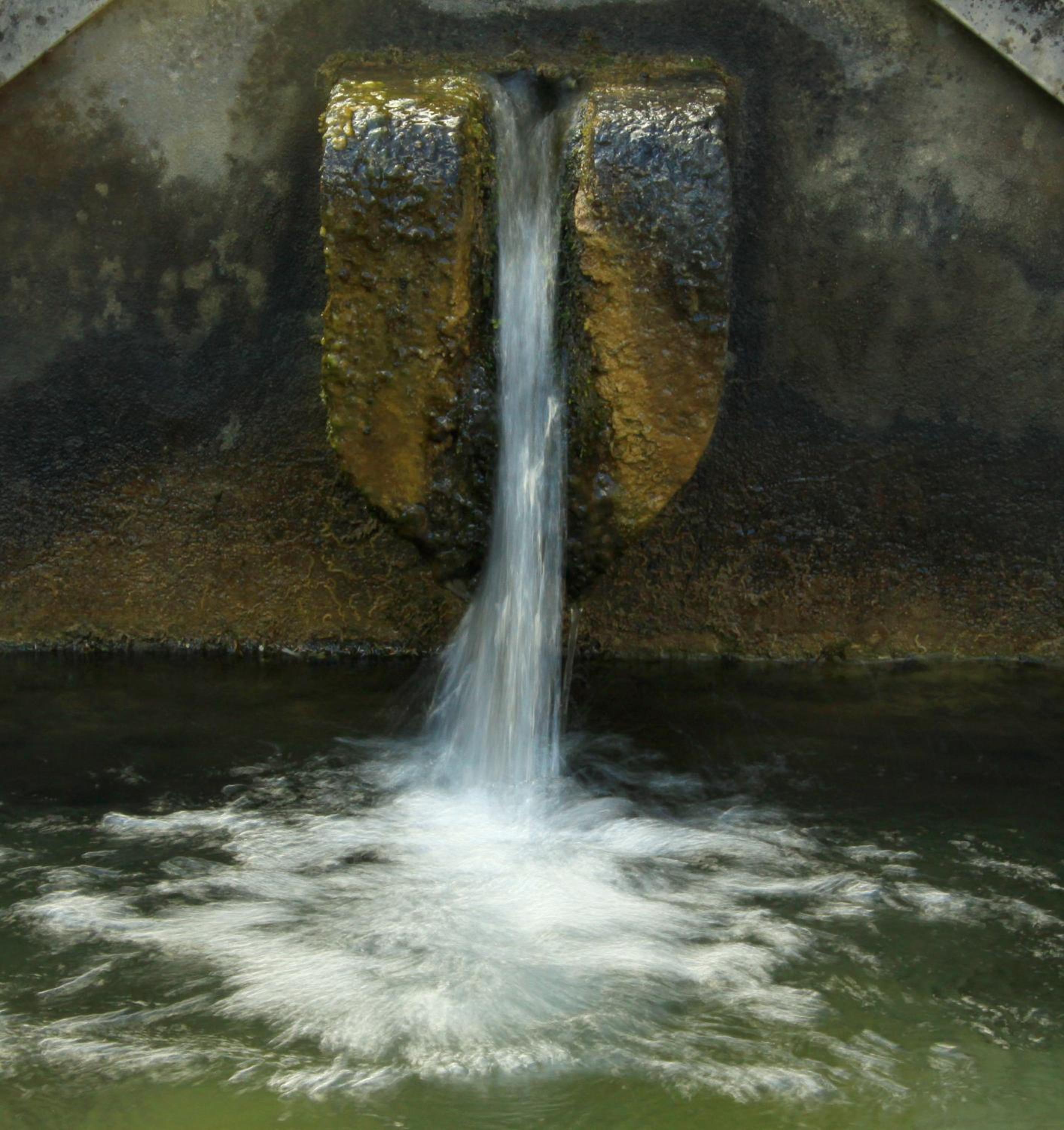 Quinta de Rio Alcaide