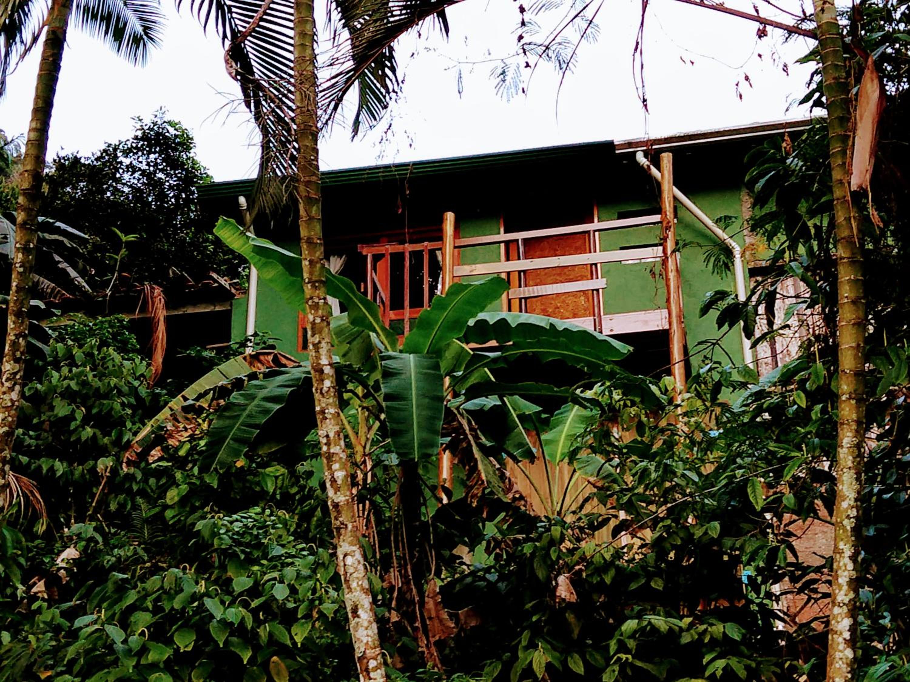 Waldhaus - A Pousada do Remo