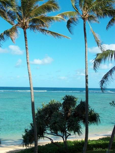 Stunning Ocean Views Condos in Oahu at Punaluu