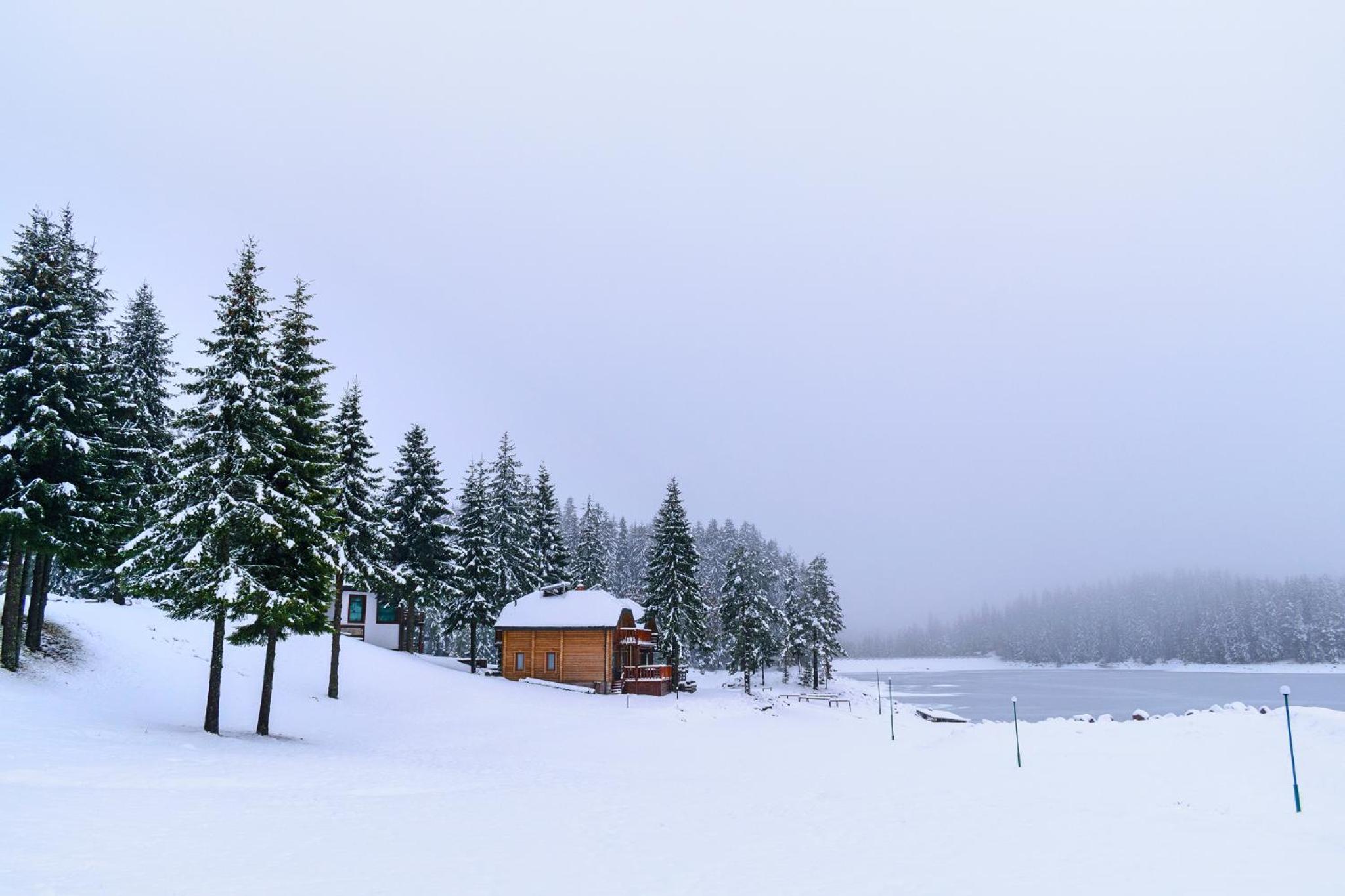 Romantica Forest Guest House