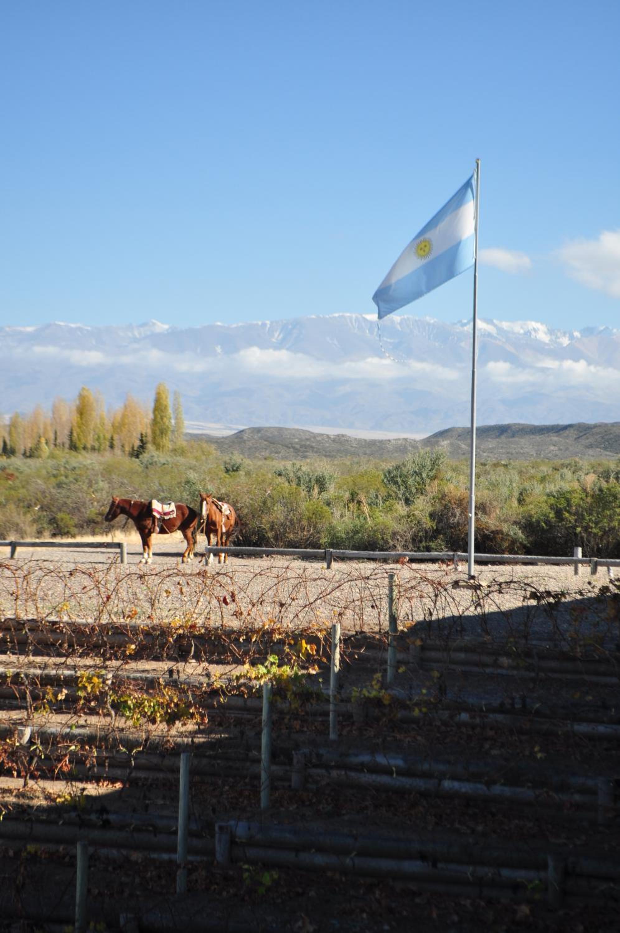 Lodge Atamisque