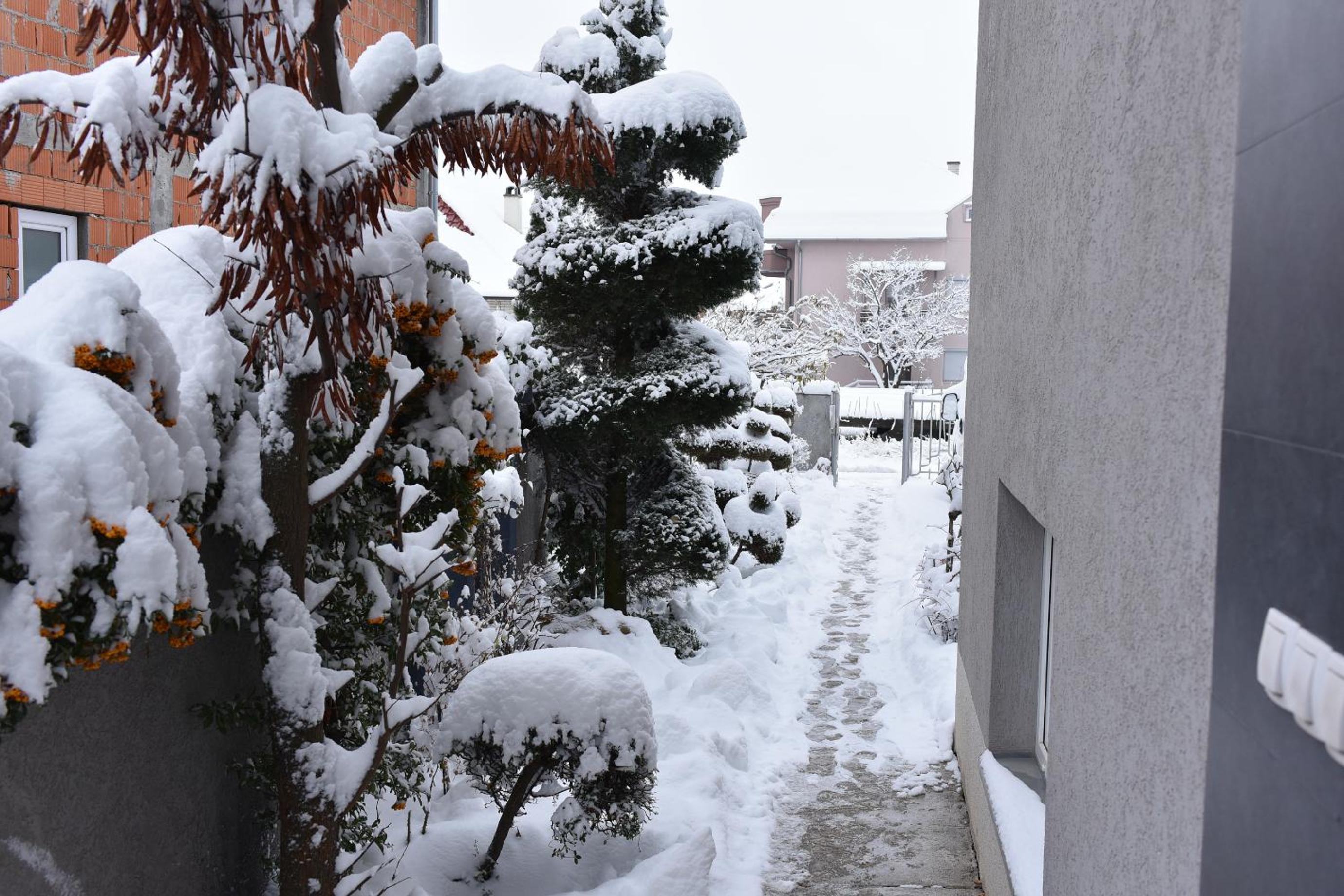 Photo 31