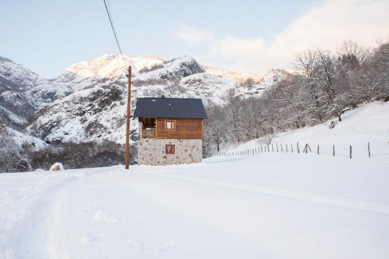 BB Etno House photo 4