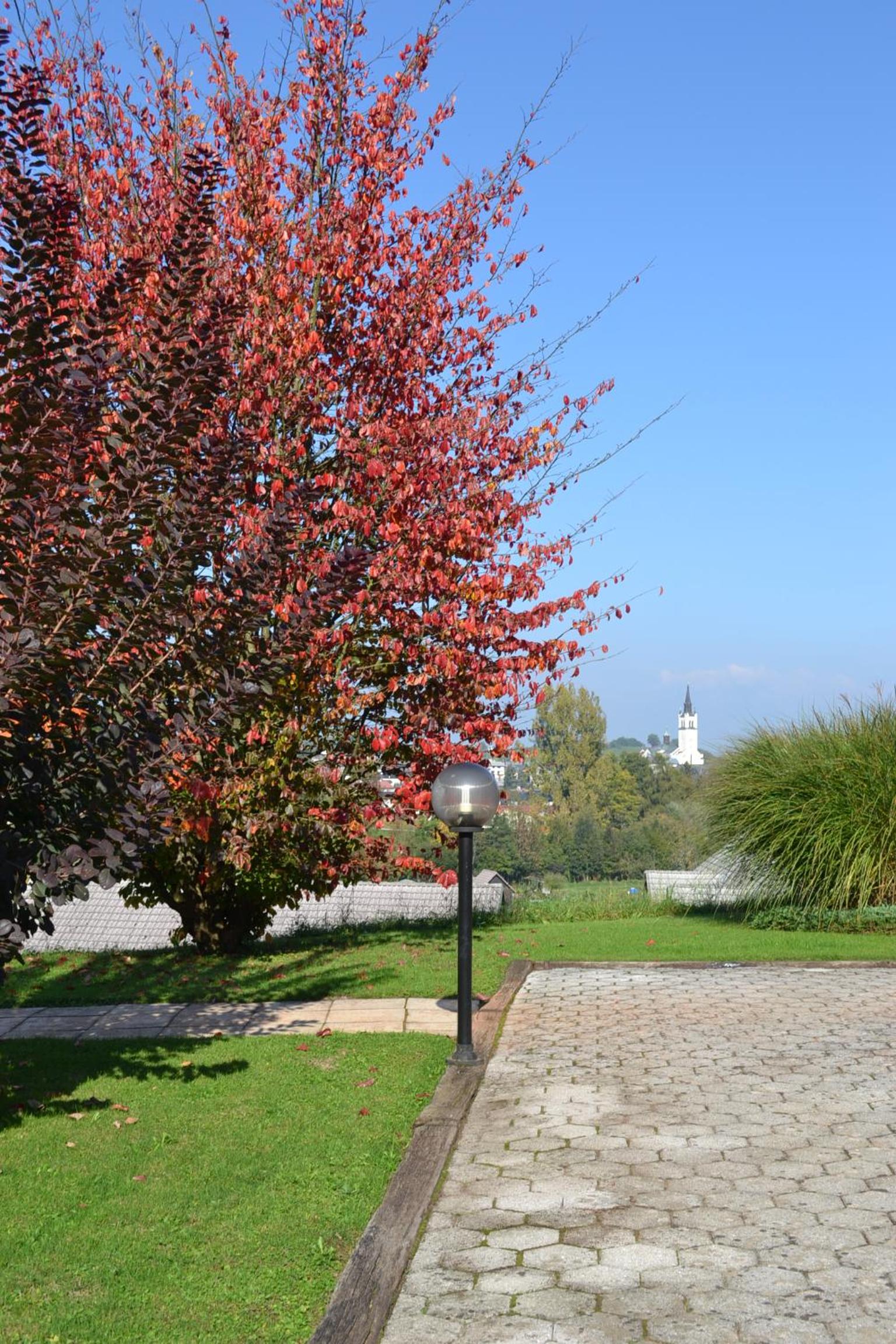 Photo 36