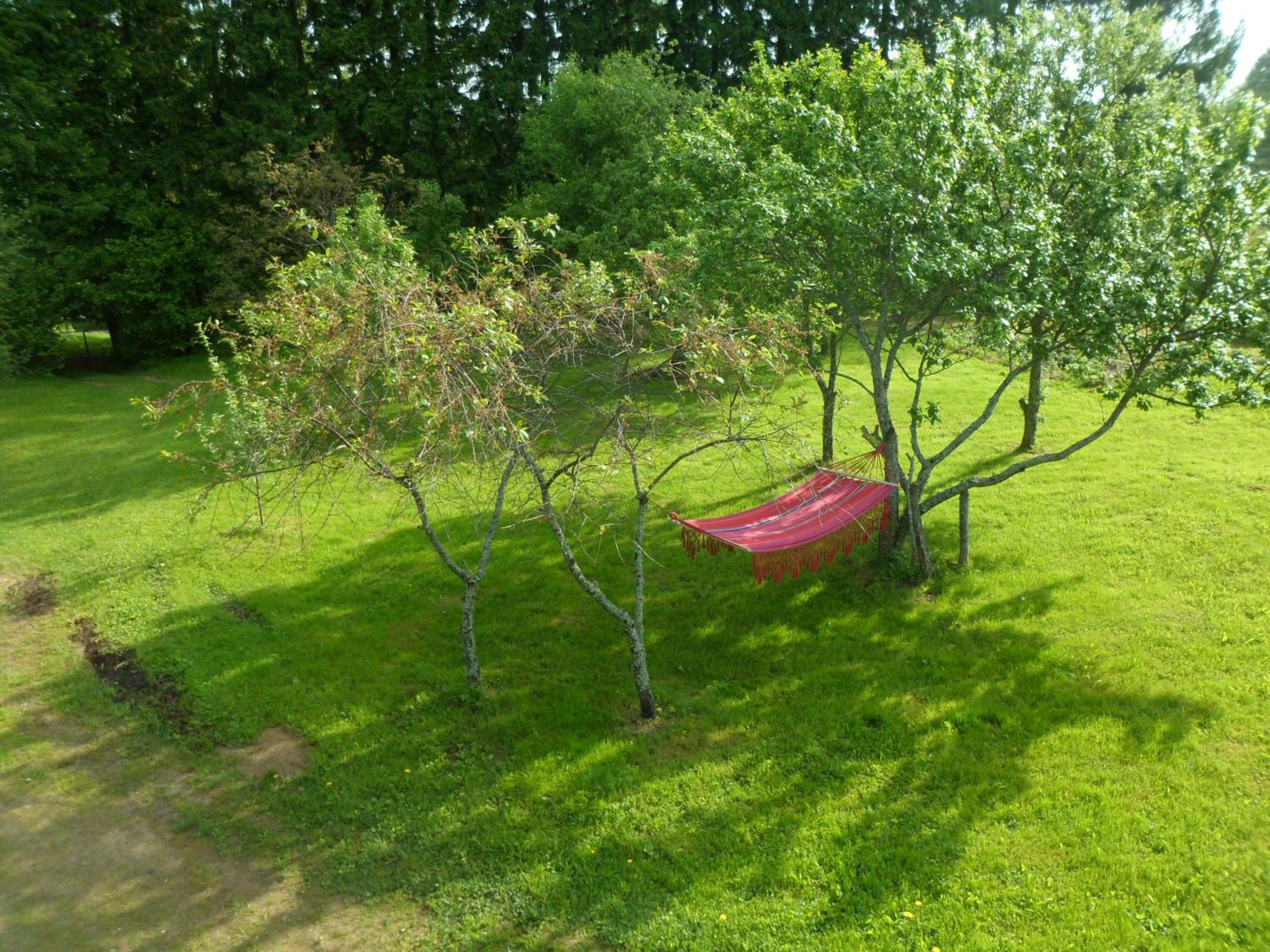 Guest House Ziedkalni