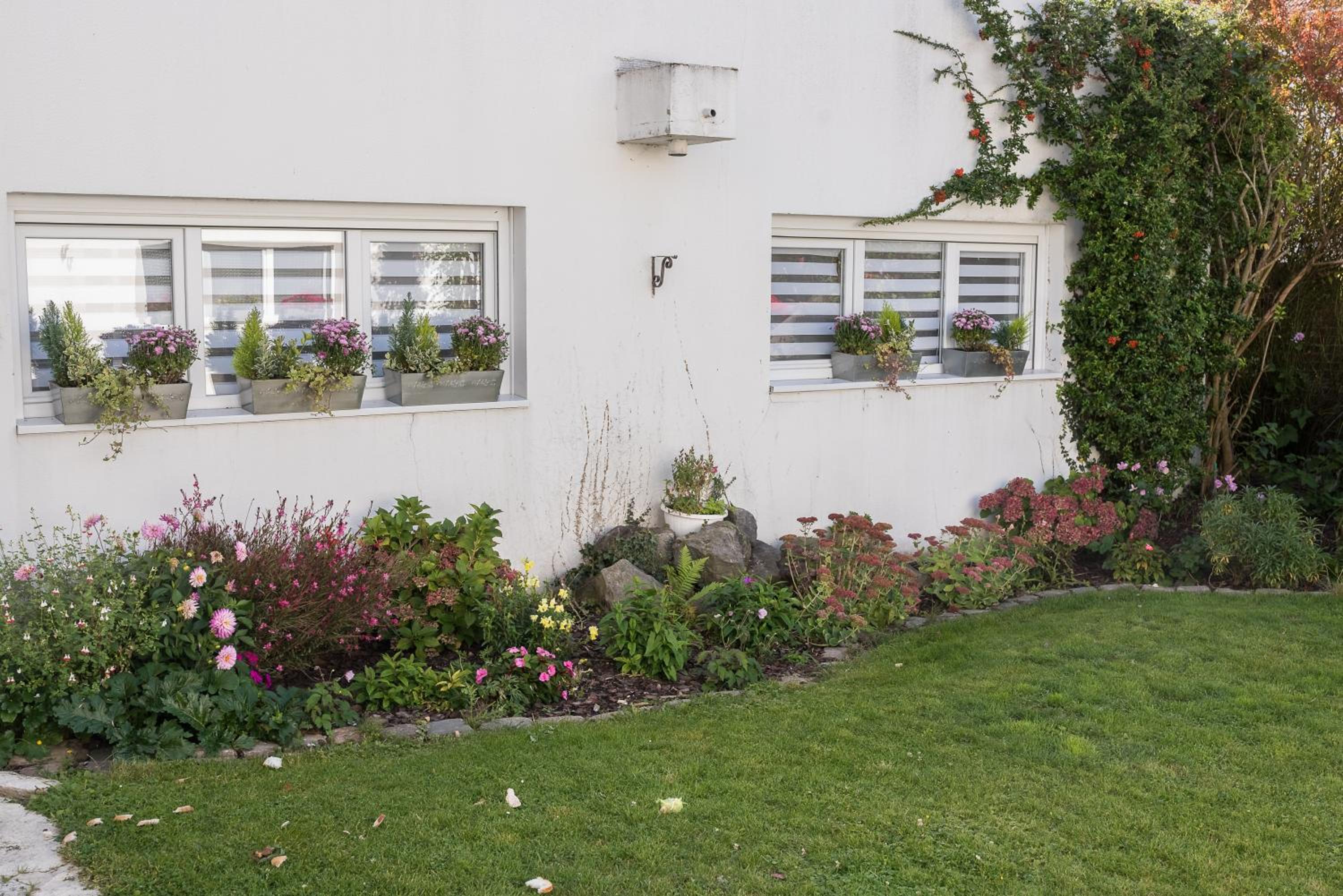 Annette's Home view 2