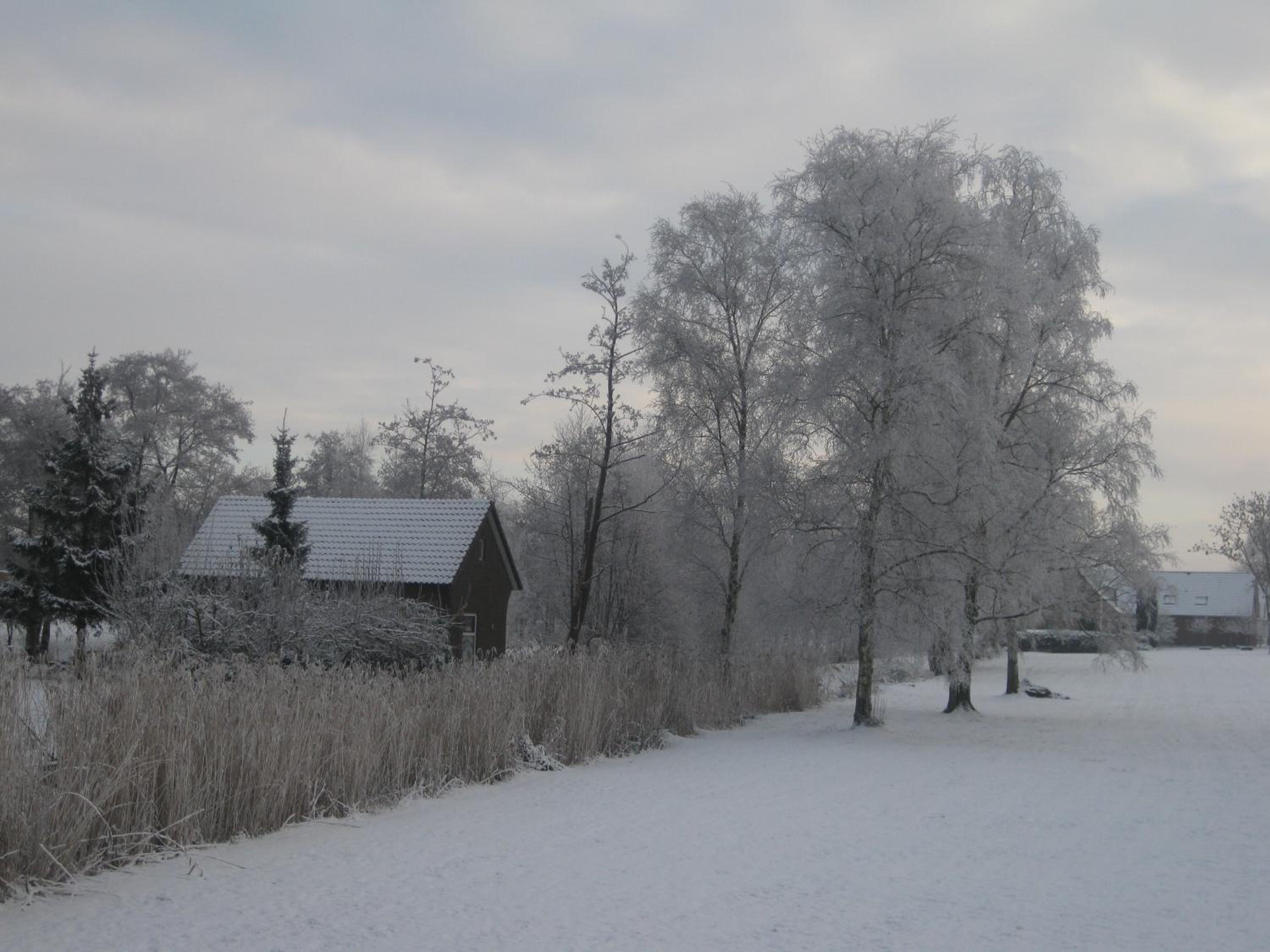 Photo 46