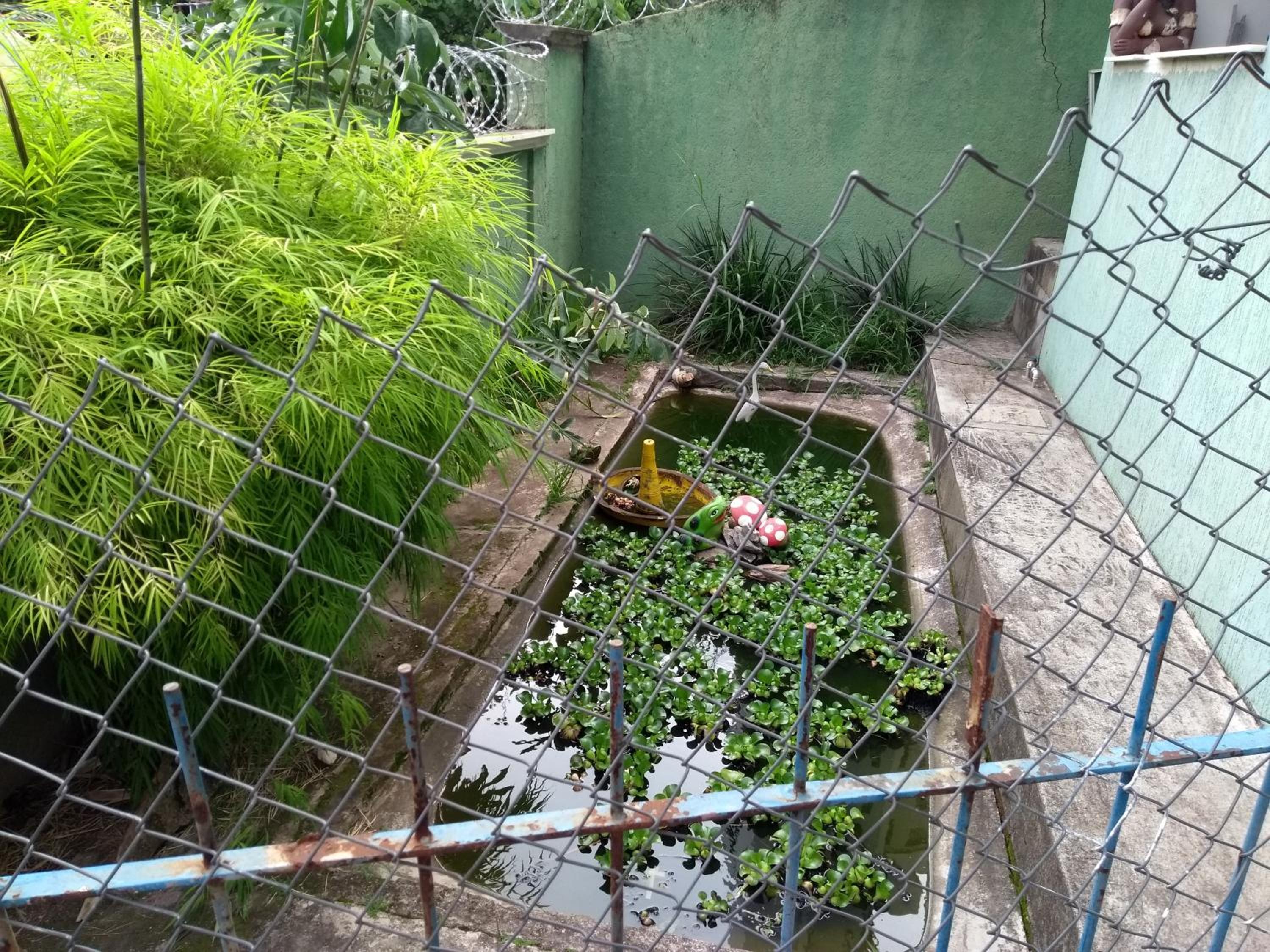 Casa verde