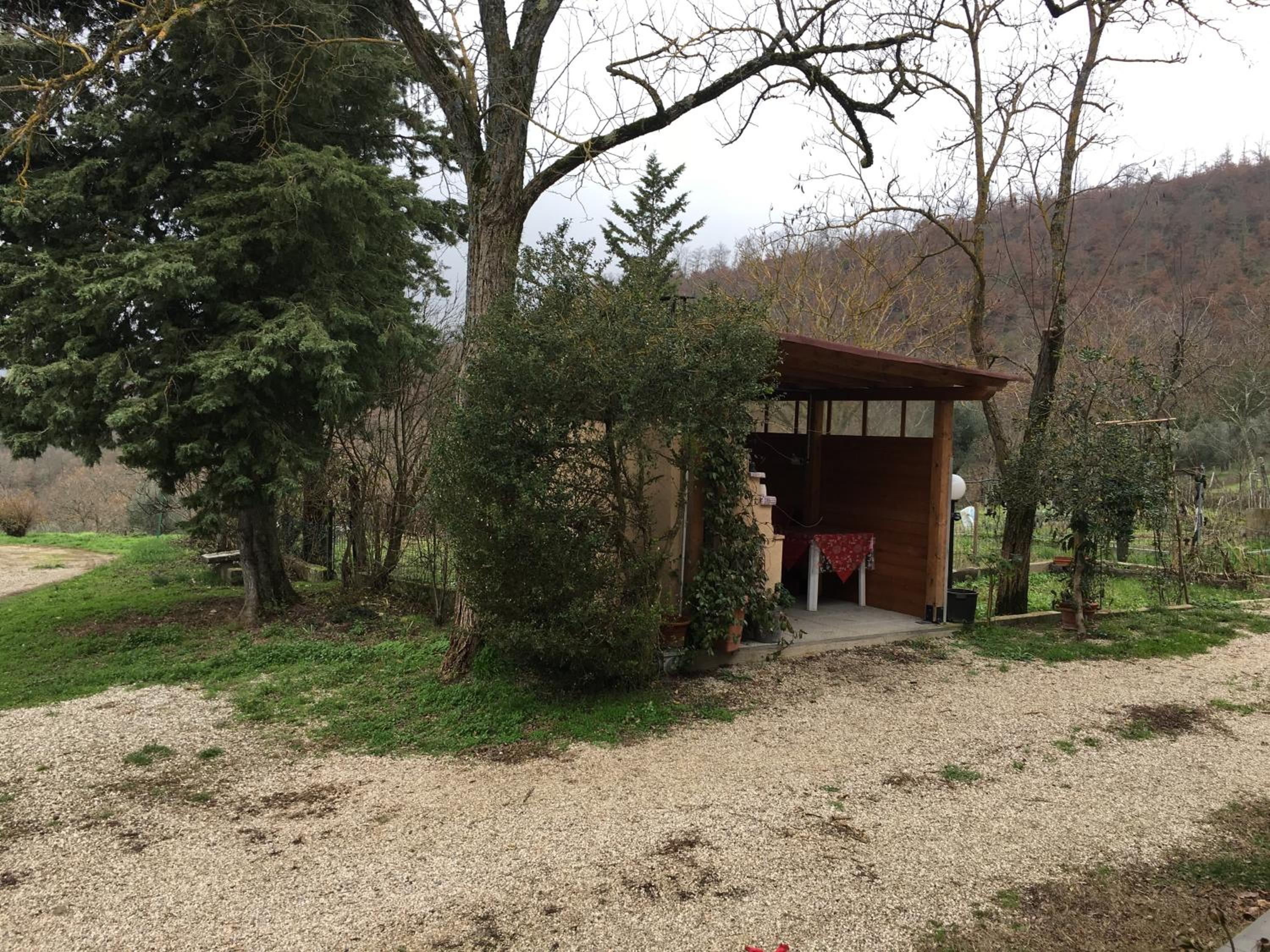 Photo 27