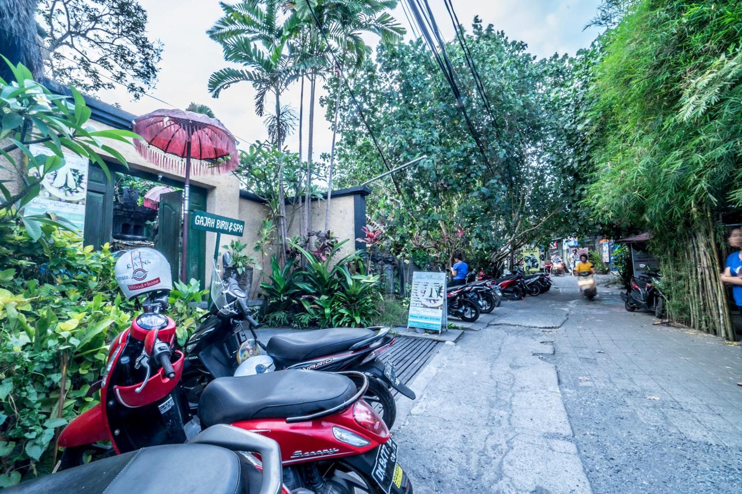 Gajah Biru Bungalows — photo 46