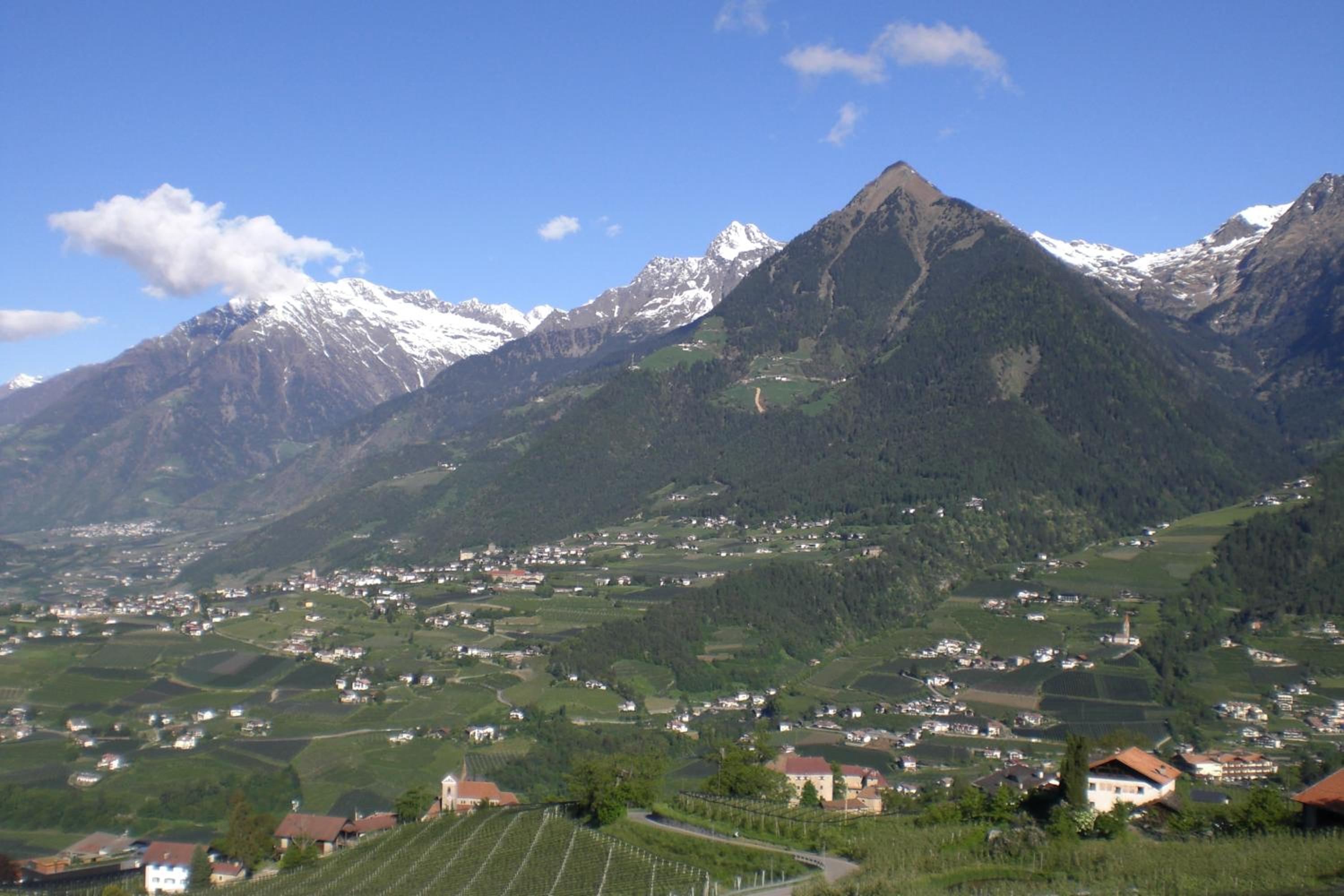 Photo 26