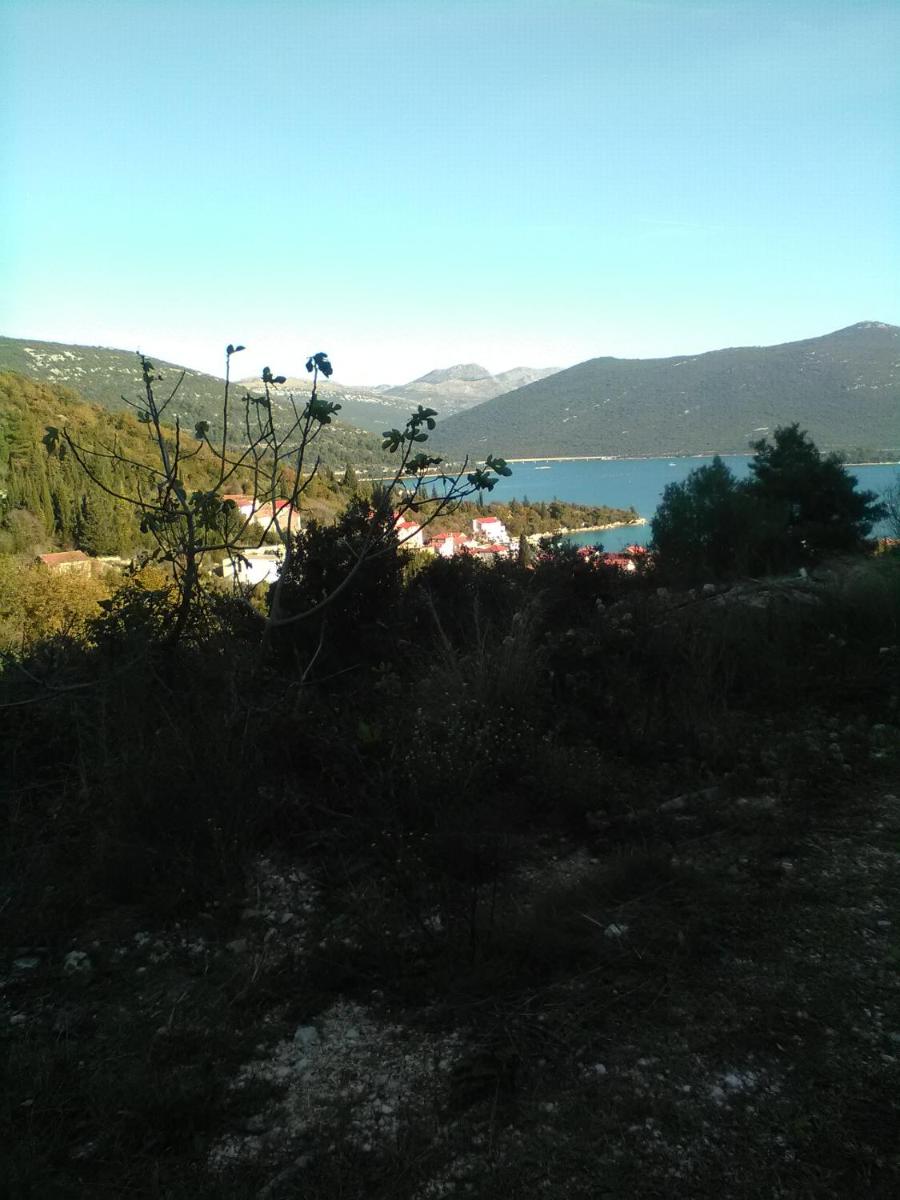 Photo 30