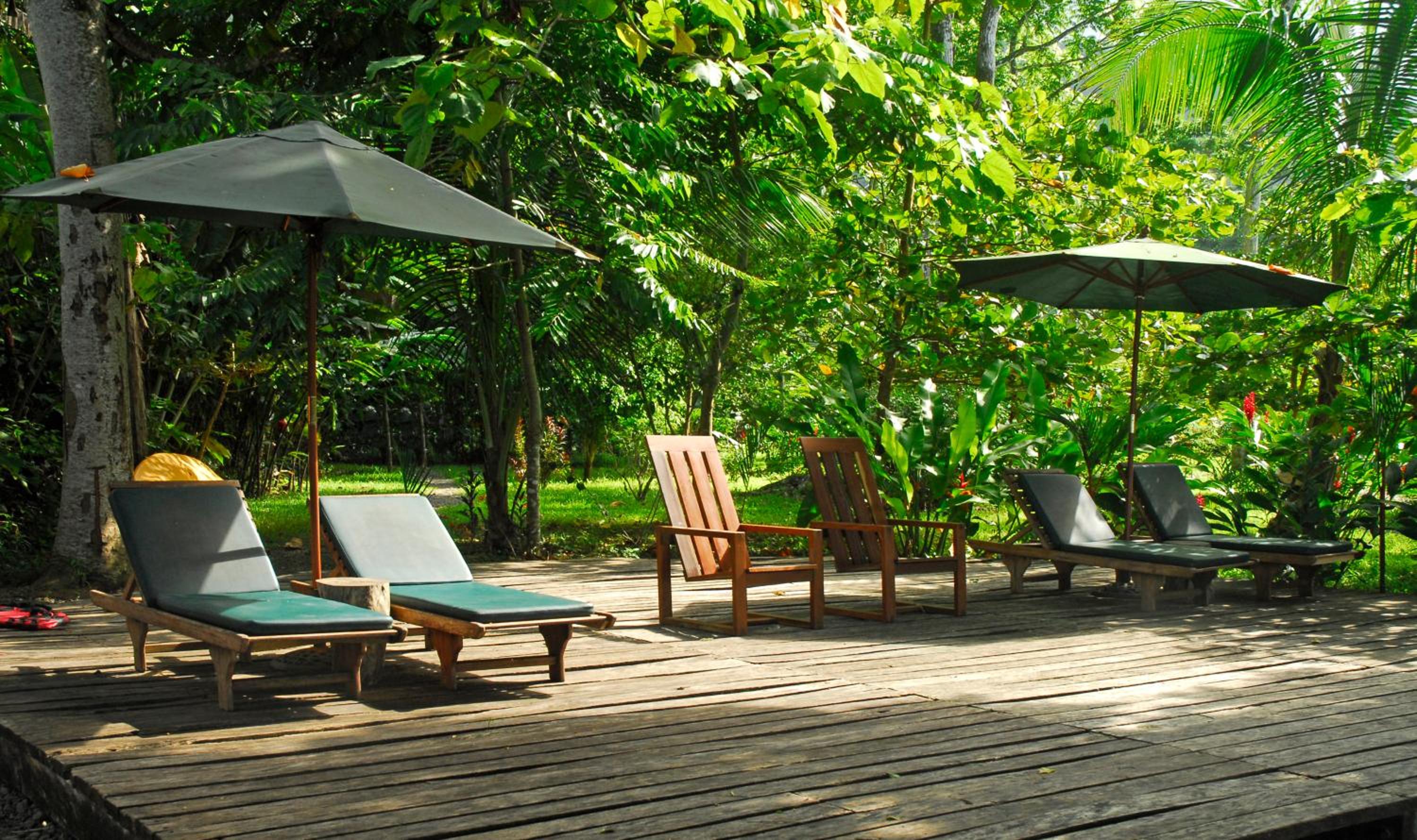 Playa Nicuesa Rainforest Eco Sanctuary