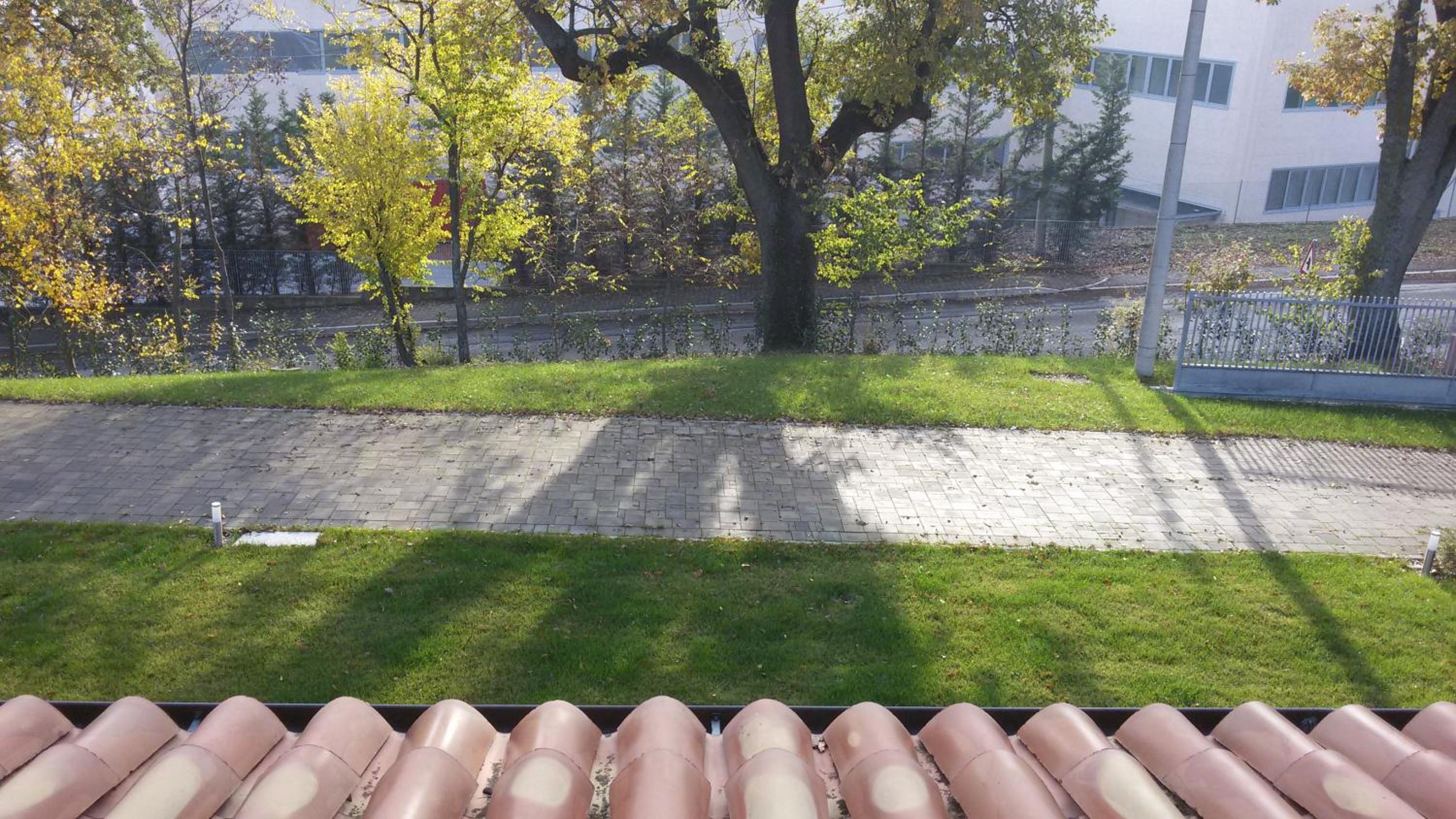 Rinaldi House view 5