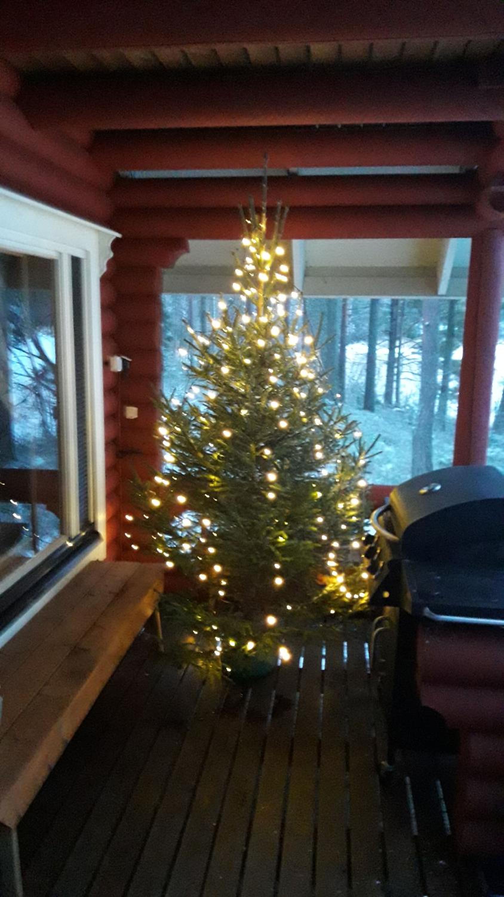 Photo 17