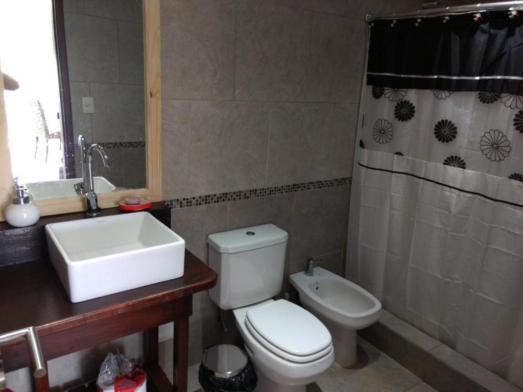 DEPARTAMENTOS SERENA II