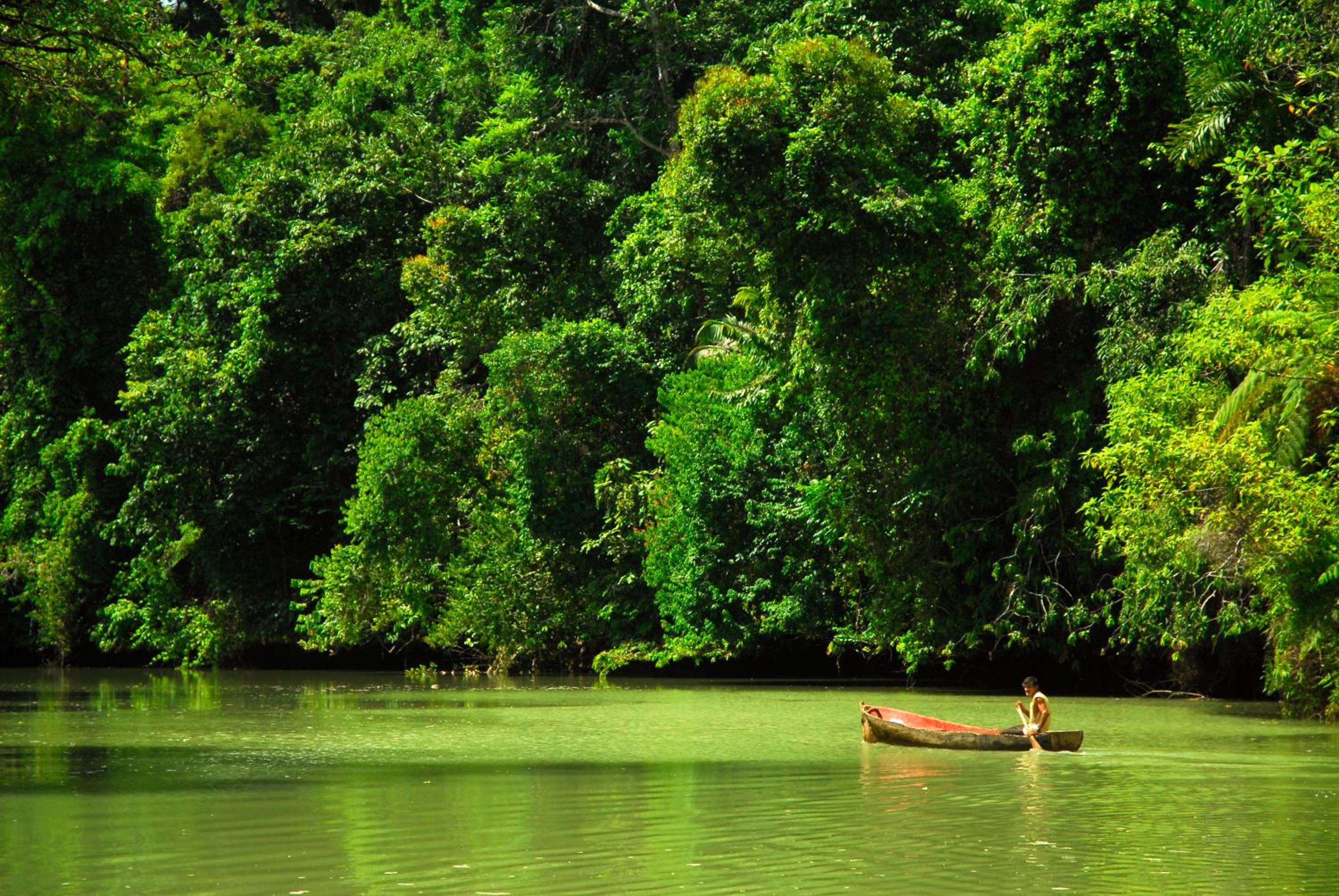 Playa Nicuesa Rainforest Eco Sanctuary