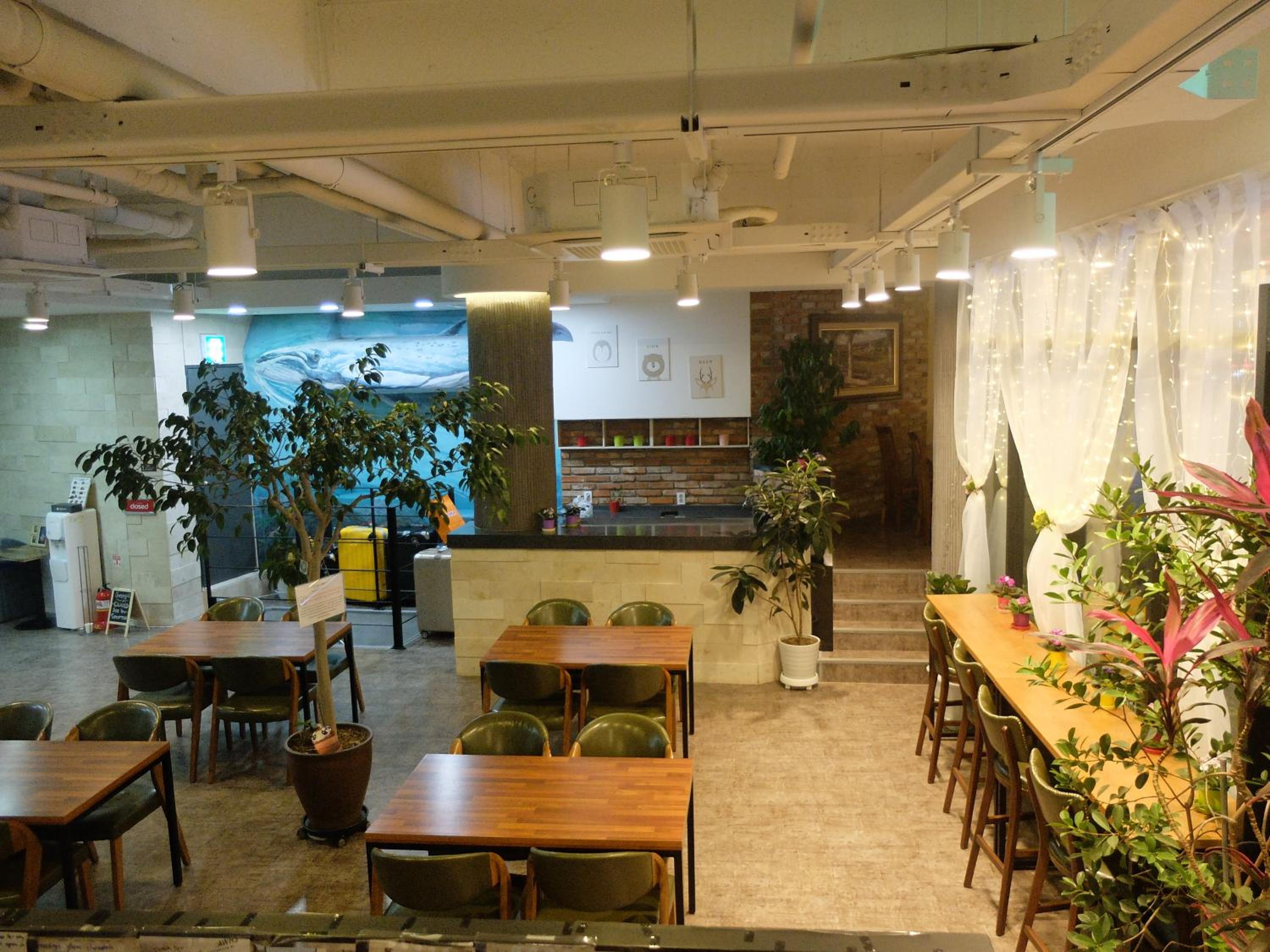 Ehwa In Myeongdong