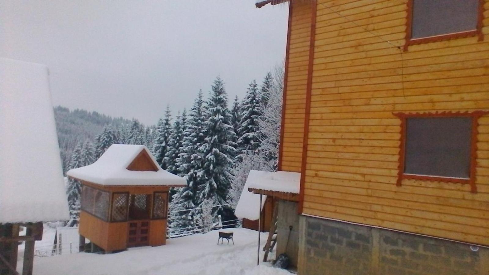 Photo 25