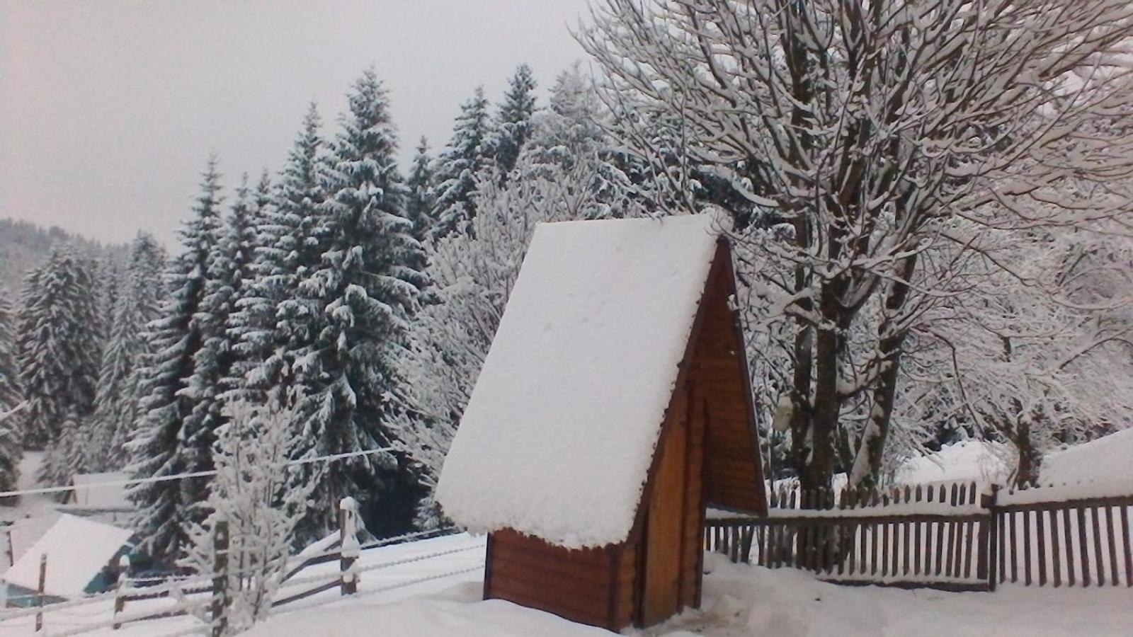 Photo 28