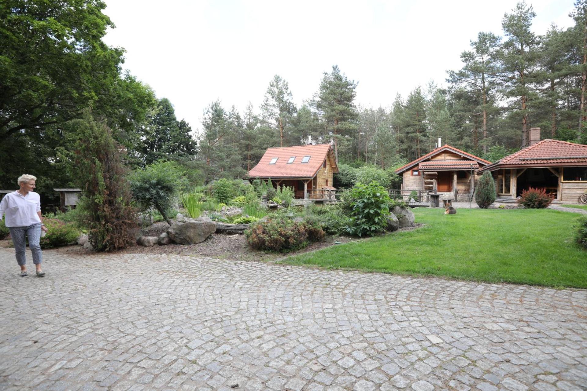 Photo 11
