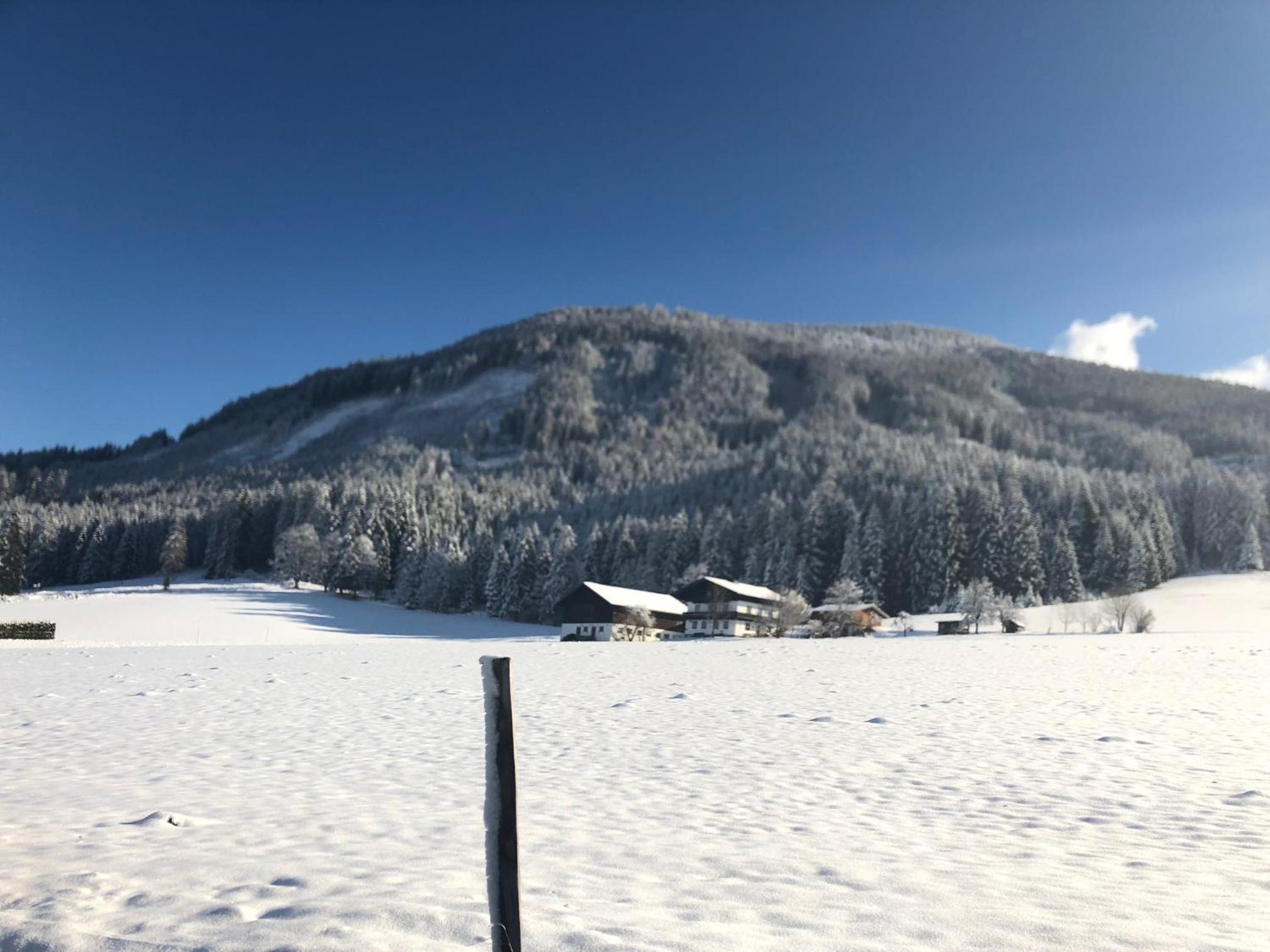 Pension Haus Rohrmoser