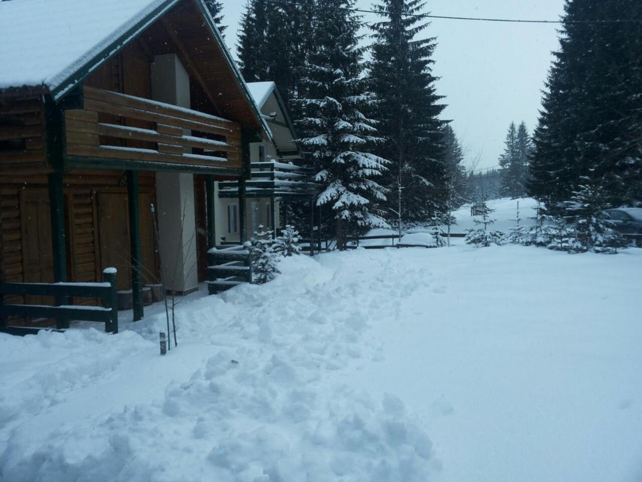 Photo 35