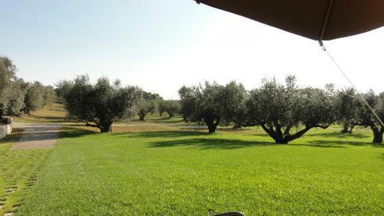 La Pecora Ladra Appartamenti