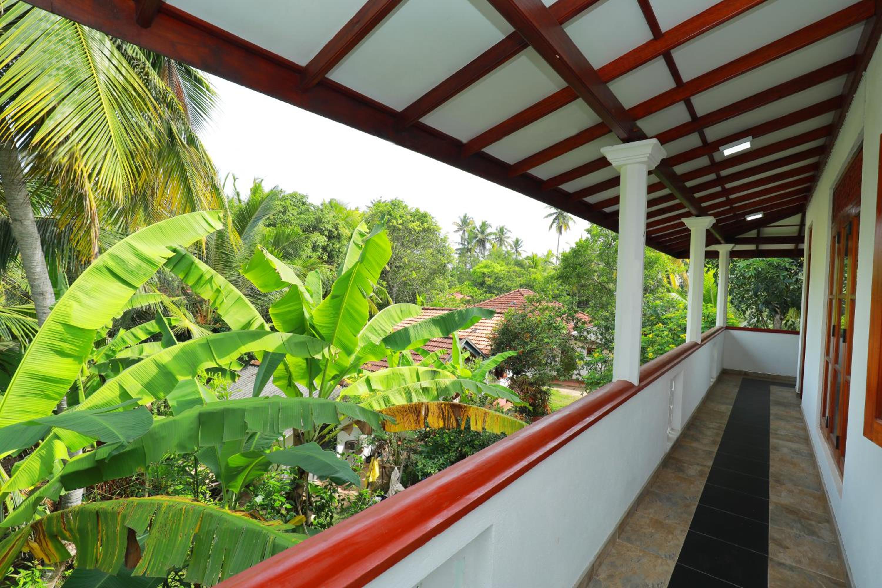 Tropical Paradise