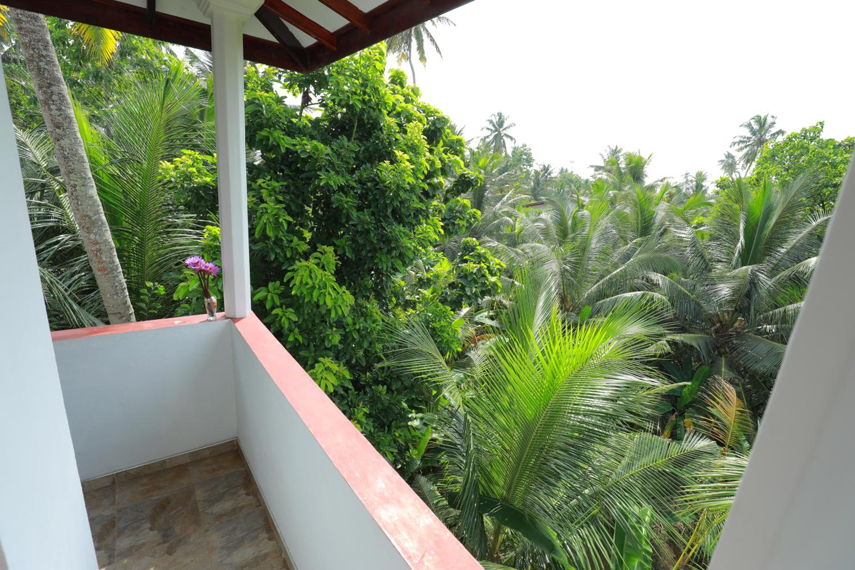 Tropical Paradise
