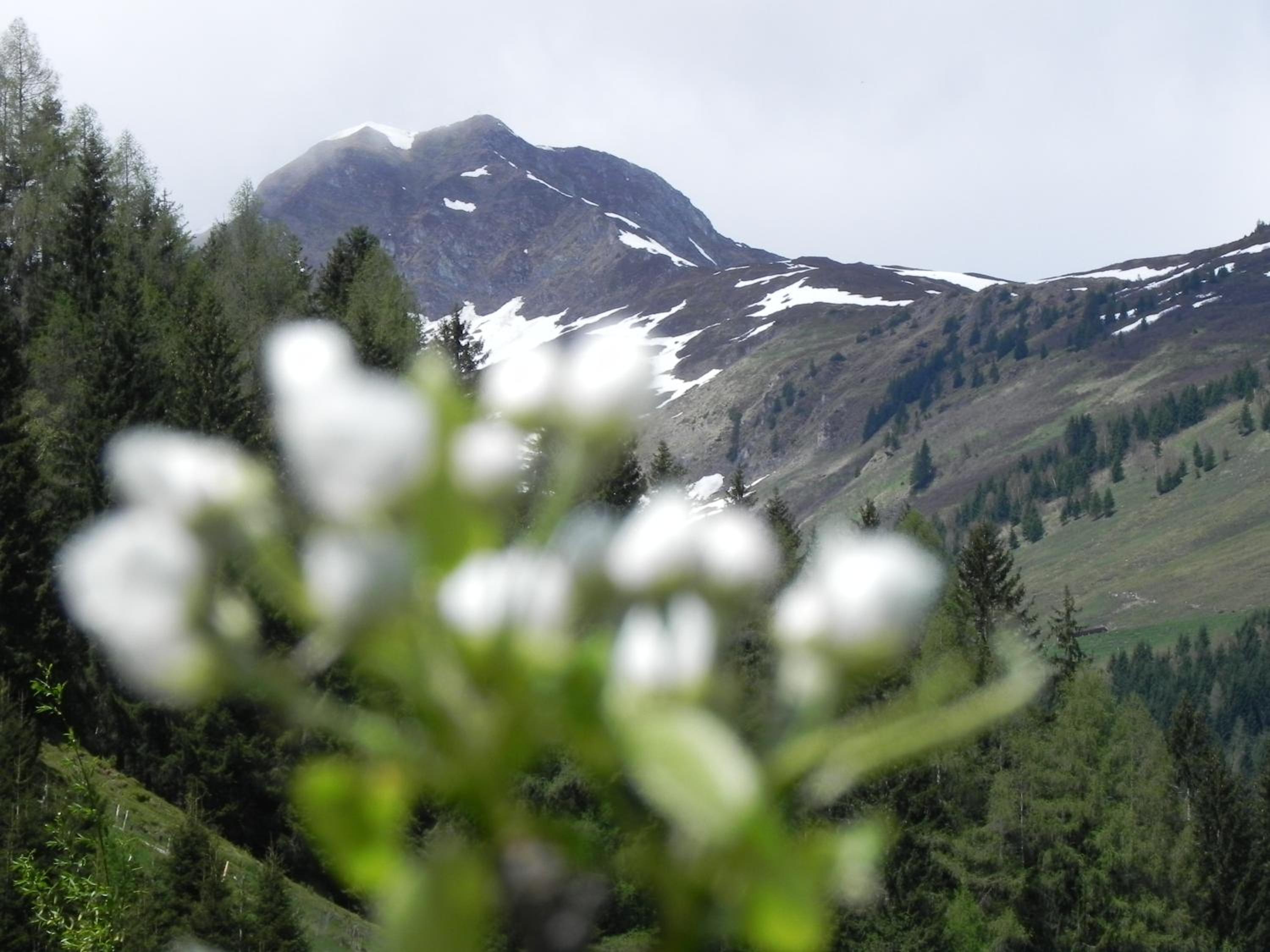 Hotel Garni Wieshof