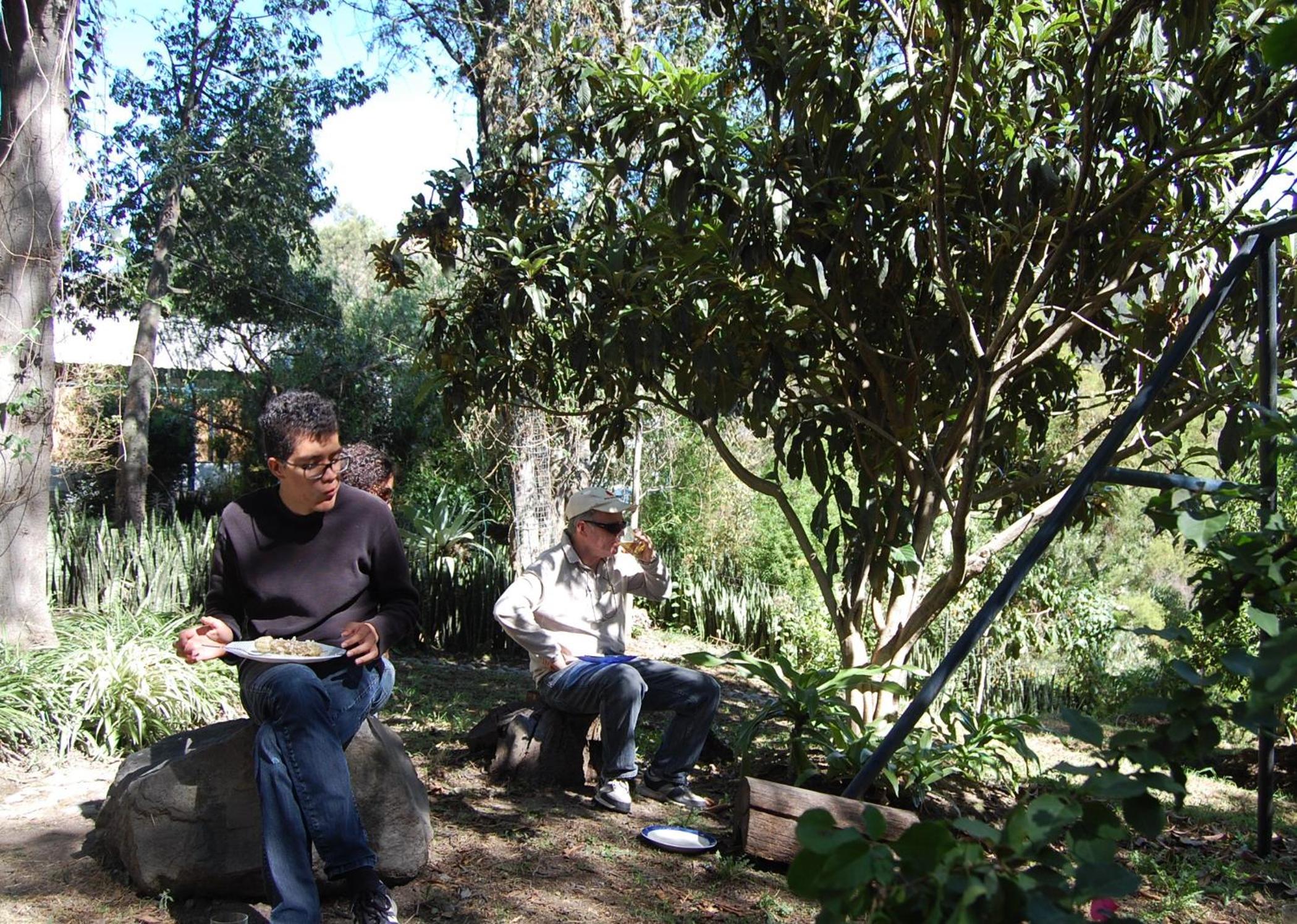 Photo 16